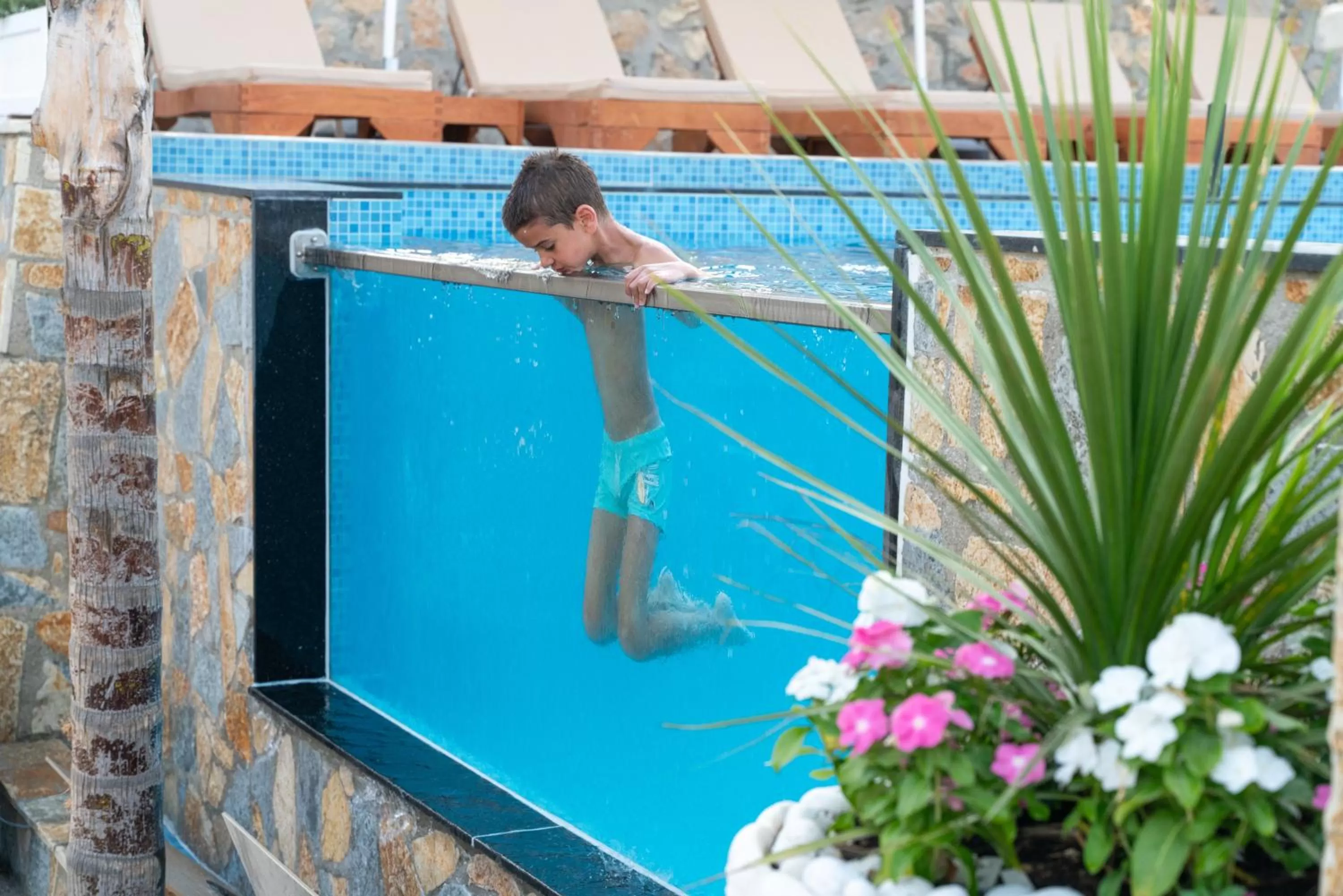 Pool view, Swimming Pool in Hotel Memaj