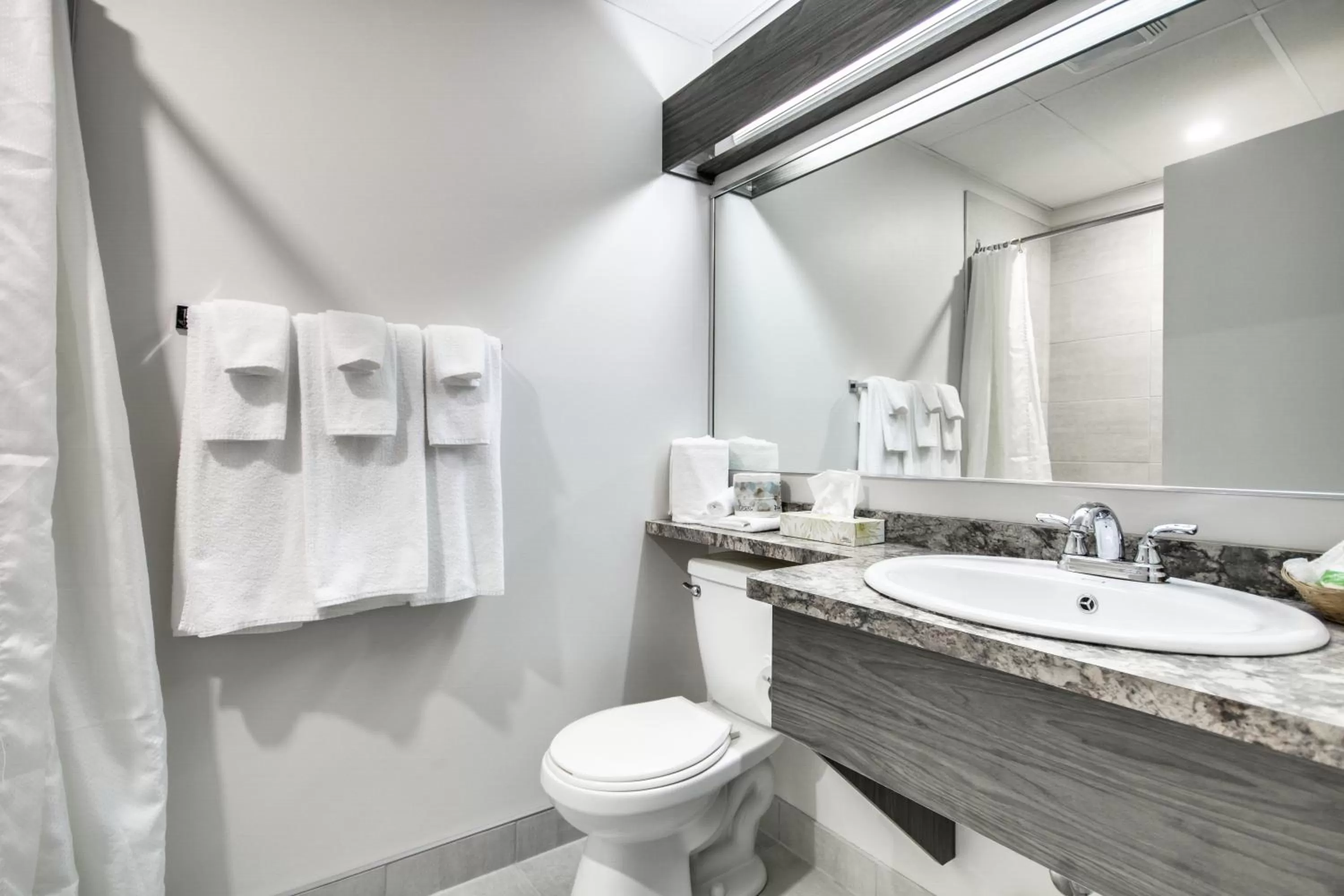 Toilet in Hôtel Marineau Shawinigan