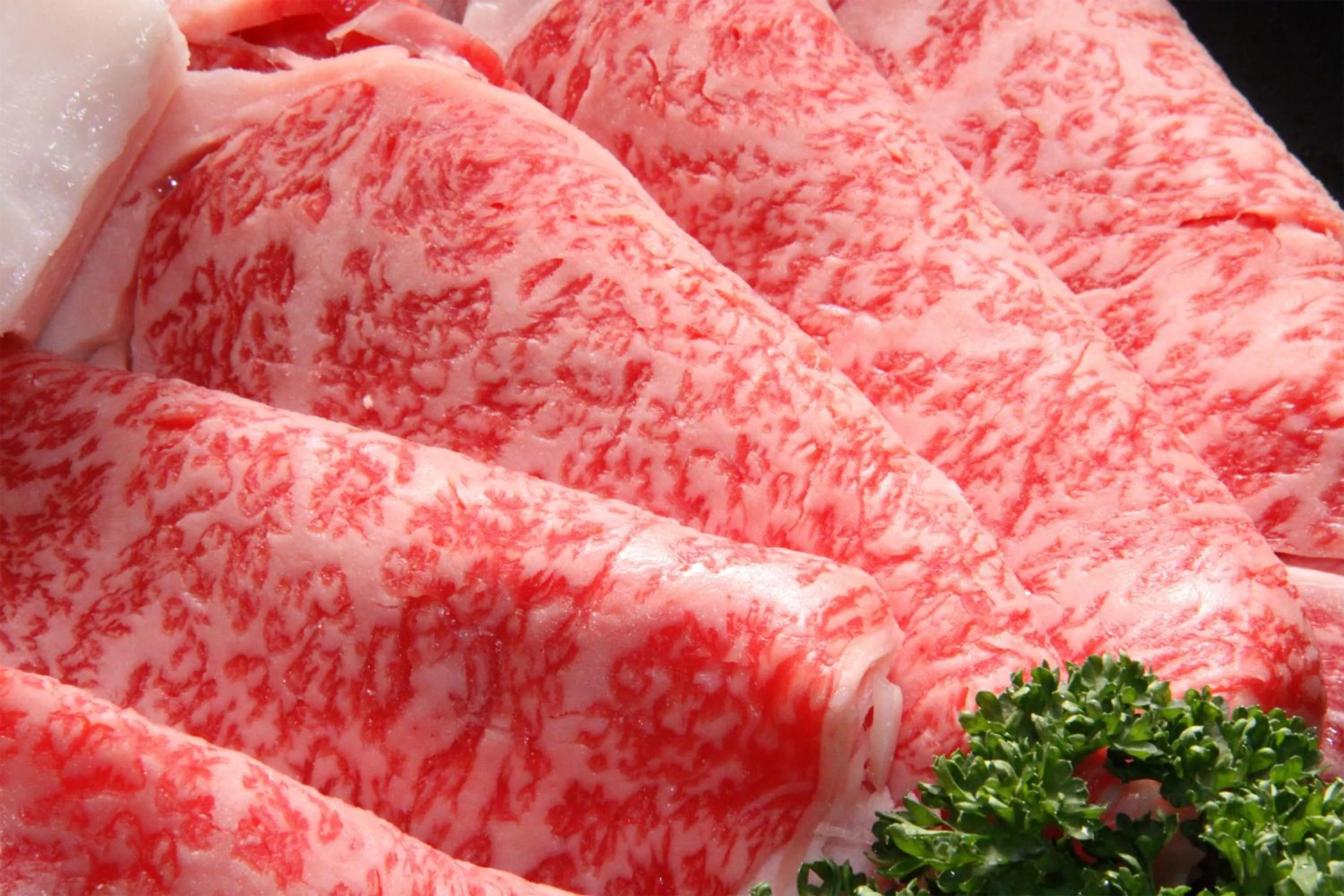 Food close-up in Kyoto Nanzenji Ryokan Yachiyo Established in 1915