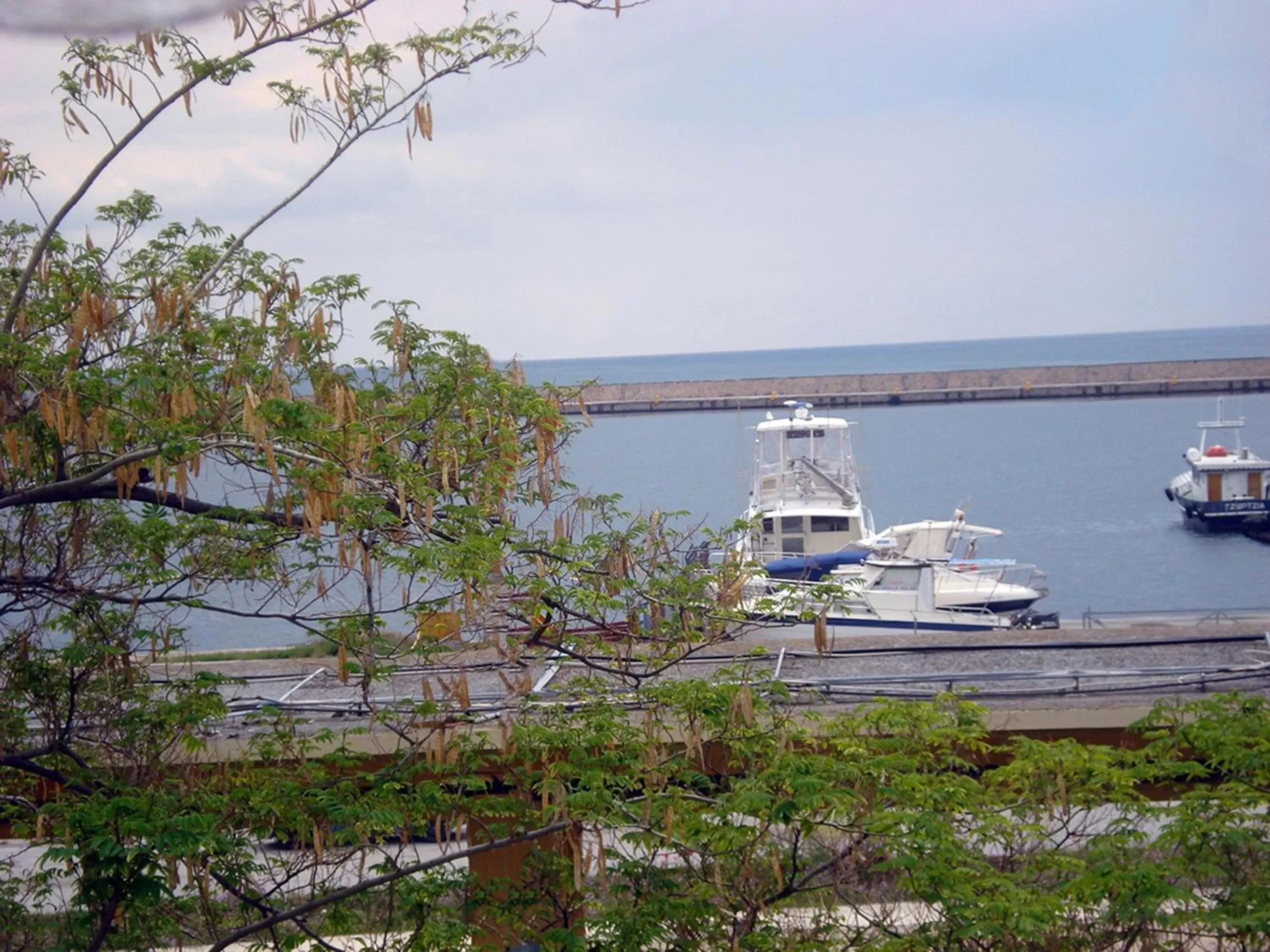 View (from property/room) in Hotel Vergina