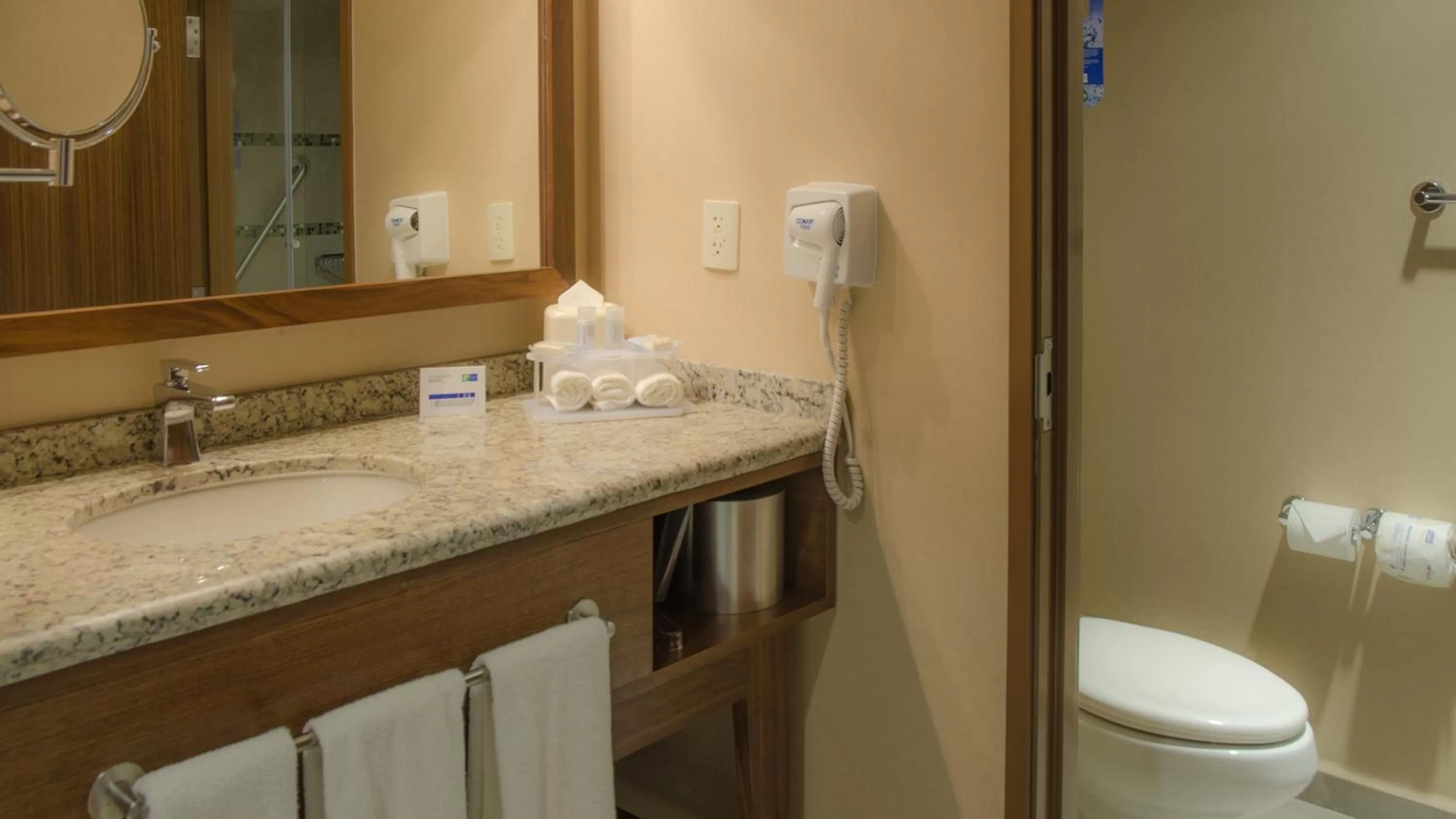 Bathroom in Holiday Inn Express and Suites Celaya by IHG