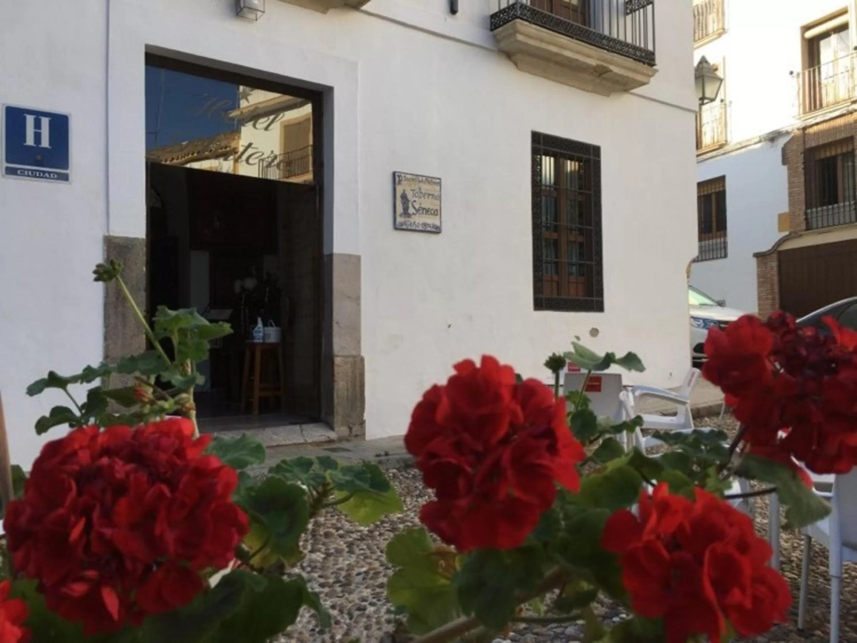 Balcony/Terrace in Hotel Plateros