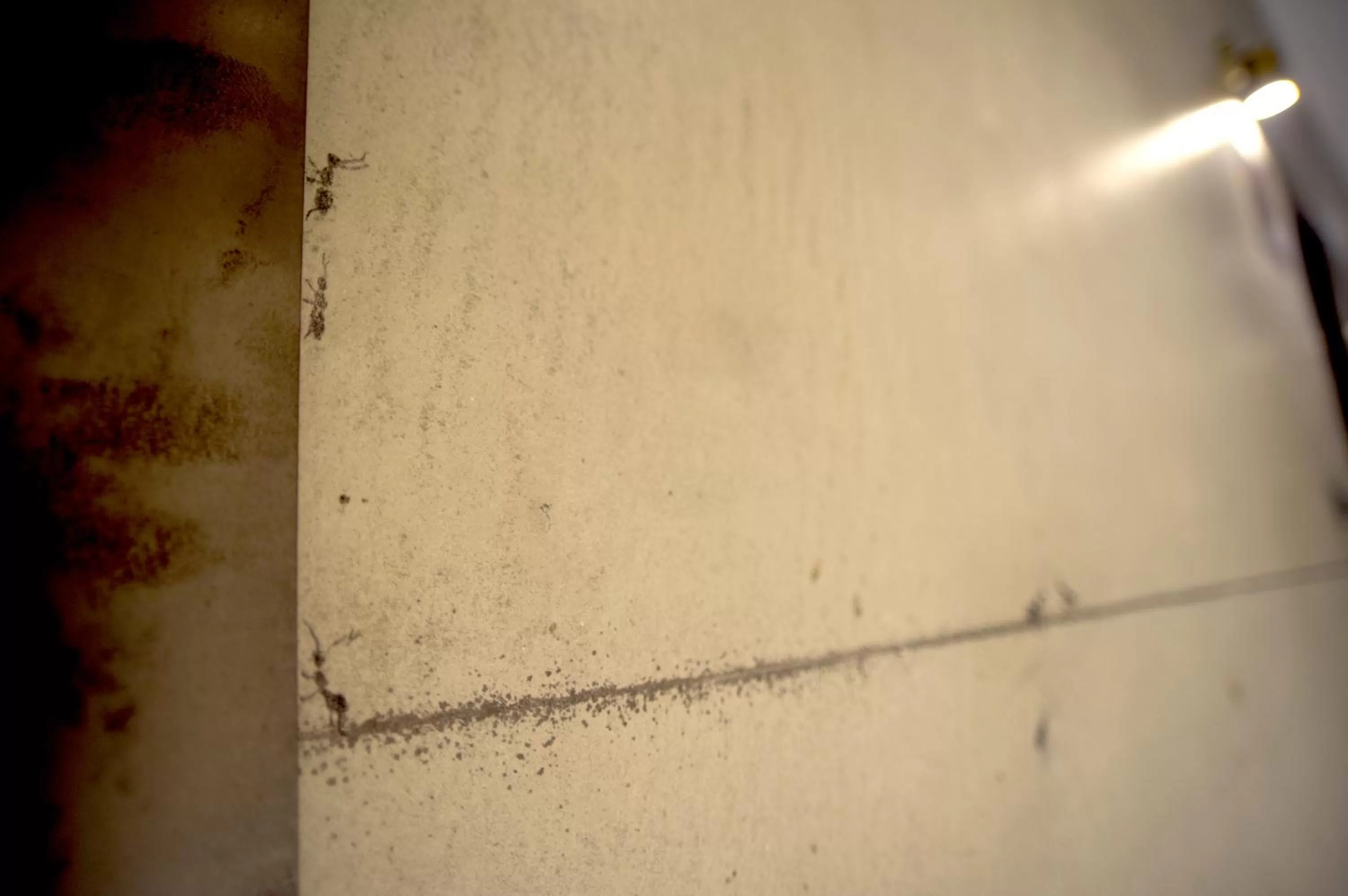 Decorative detail in FFF Hotel