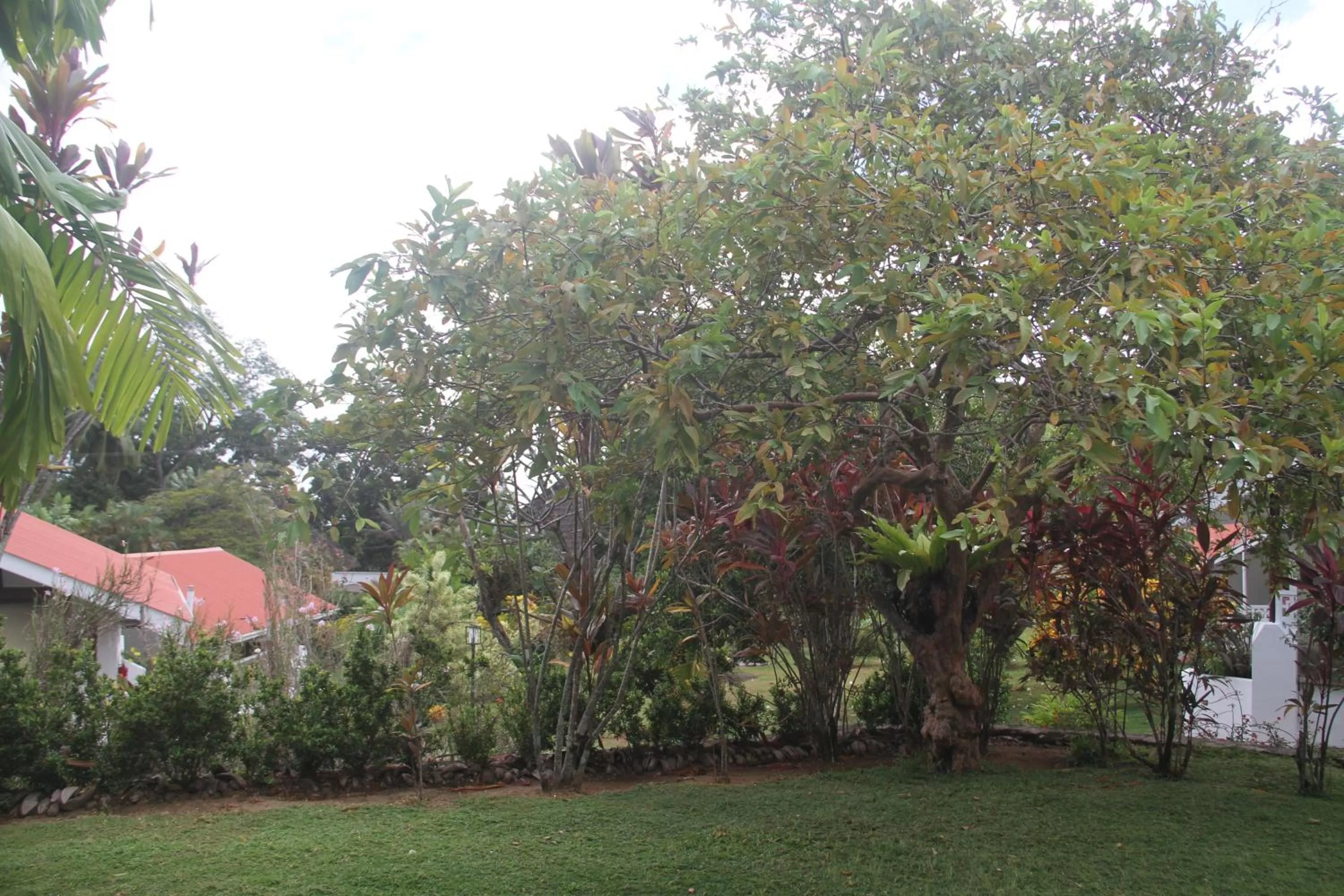 Garden in Daniella's Bungalows