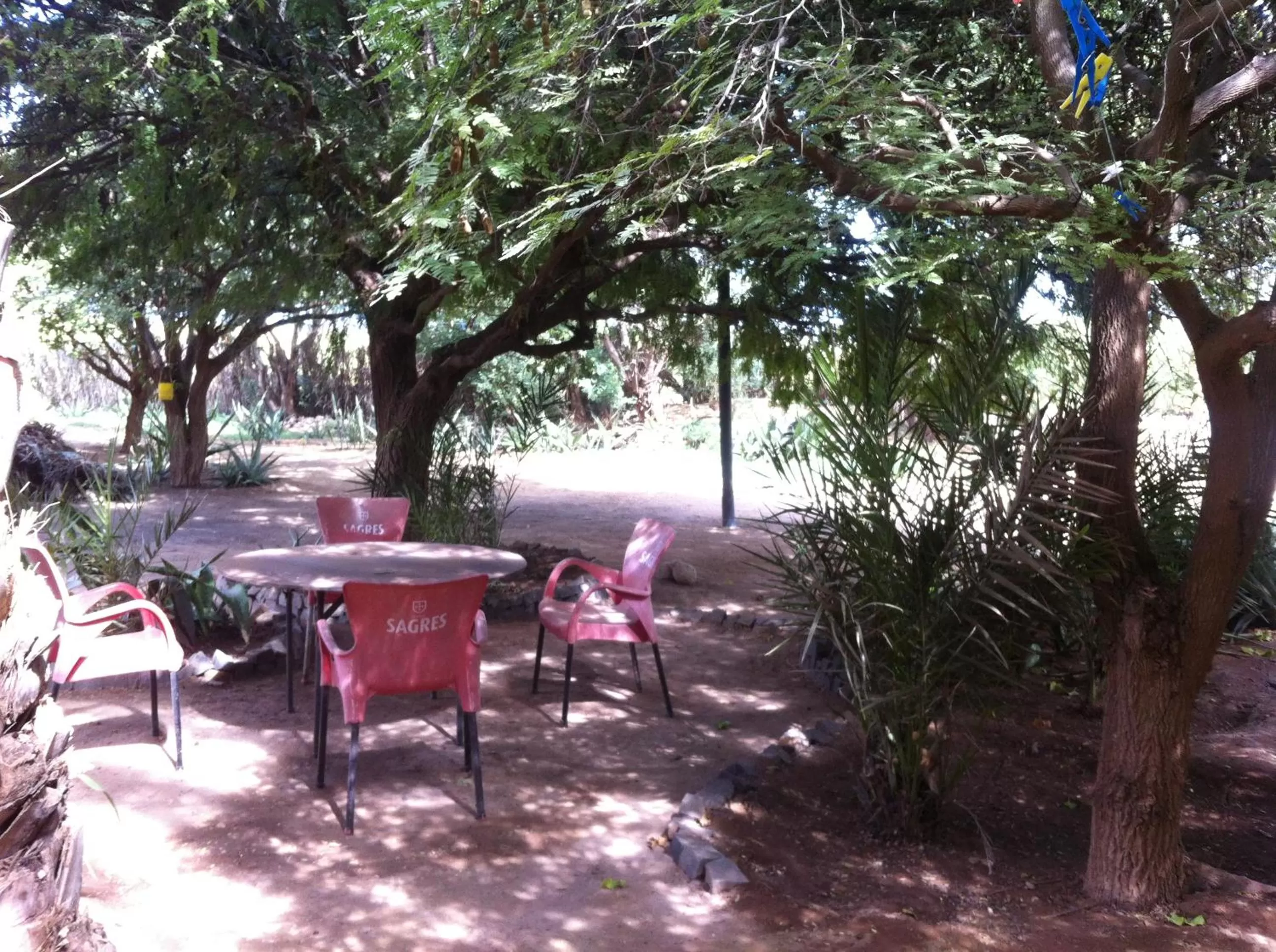 Day in Villa Morabeza Guest House