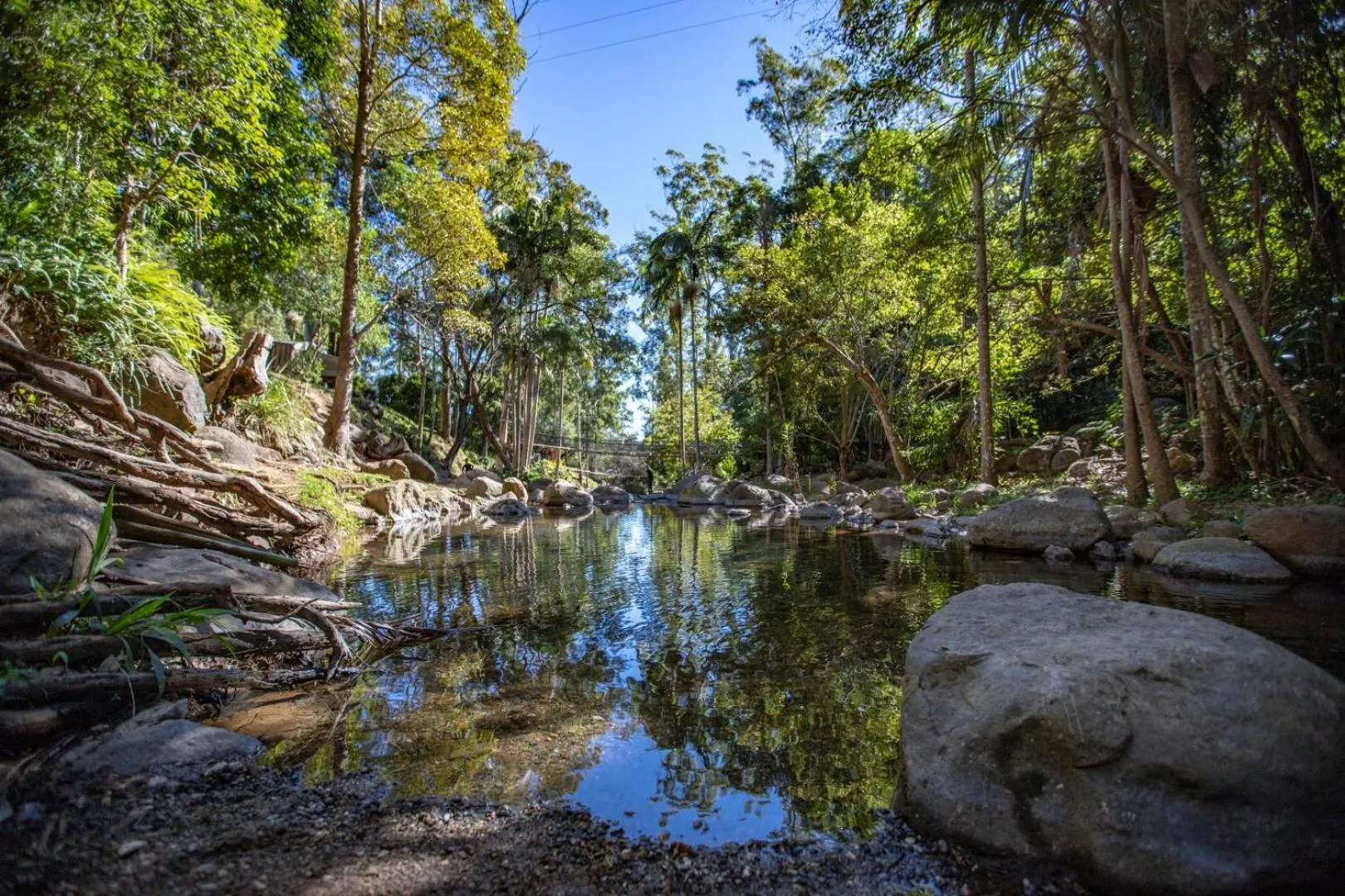 Garden, Natural Landscape in Cedar Creek Lodges