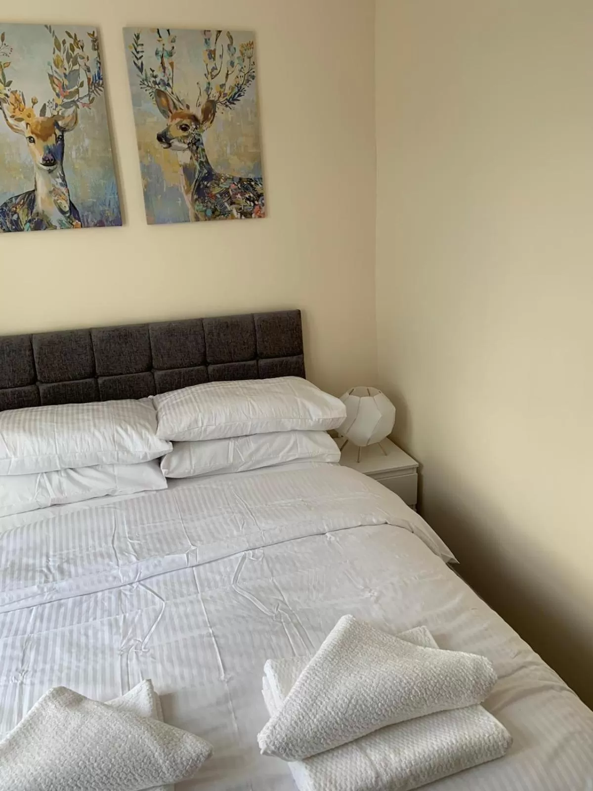Double Room in Smeaton serviced Accommodation