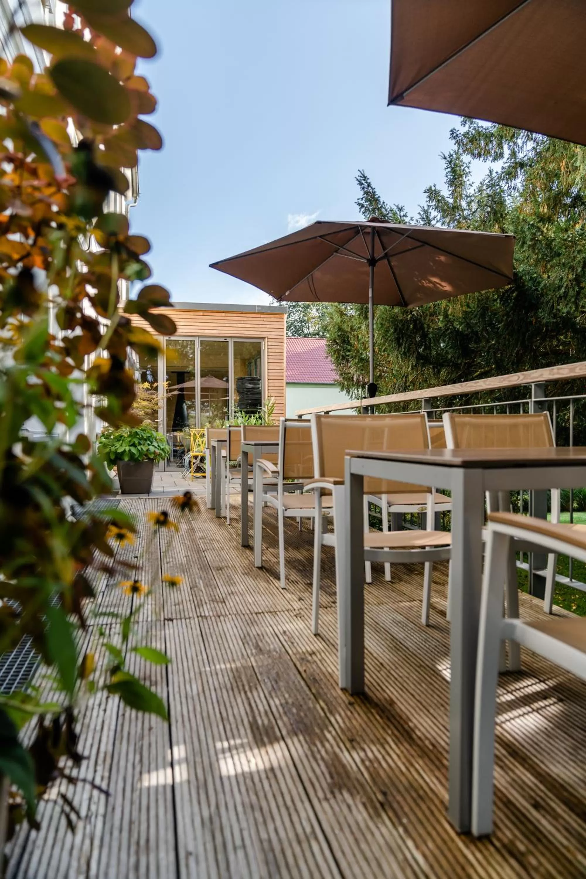 Property building in Biohotel Schönhagener Mühle