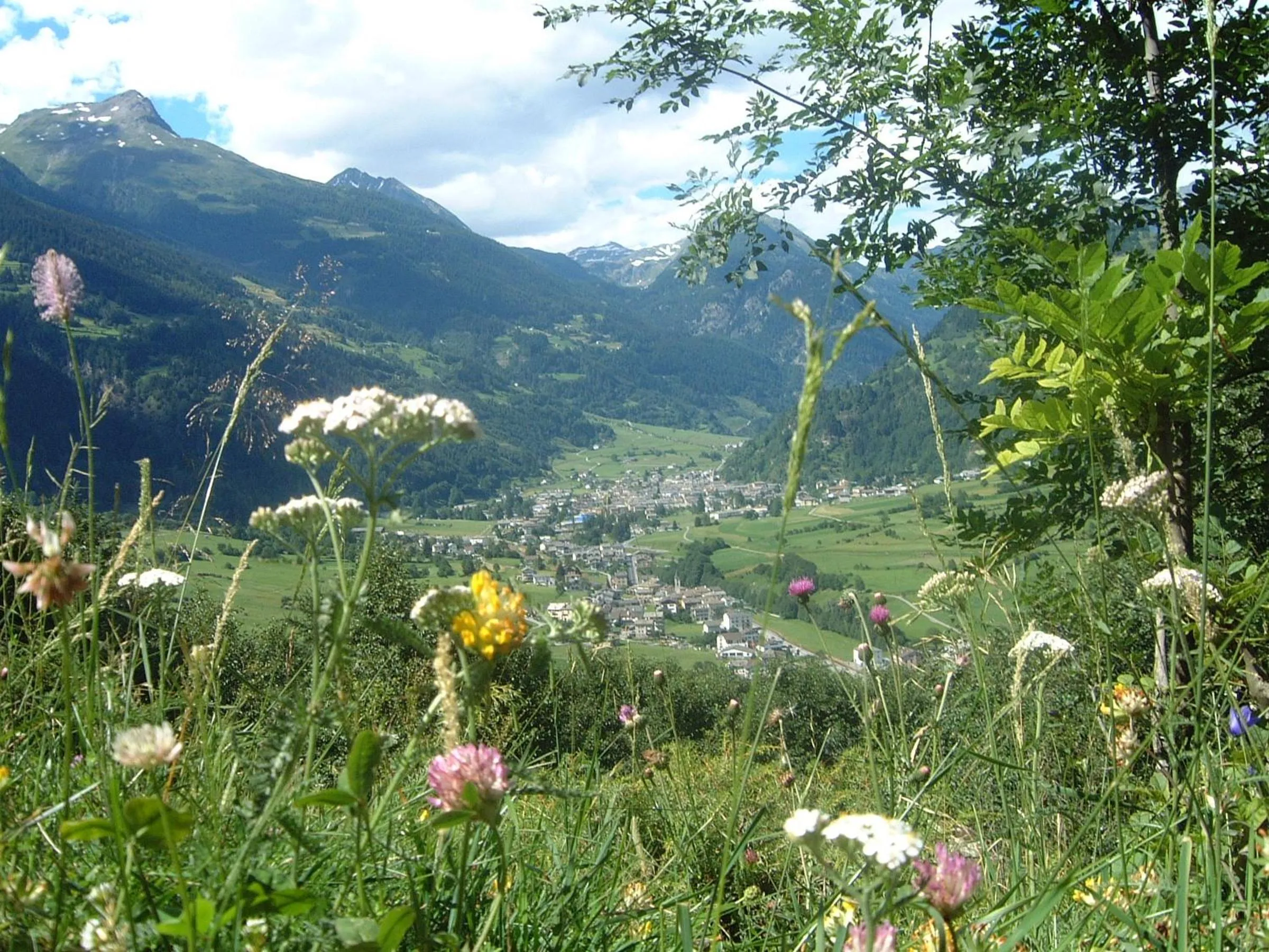 Day in Hotel & SPA Croce Bianca