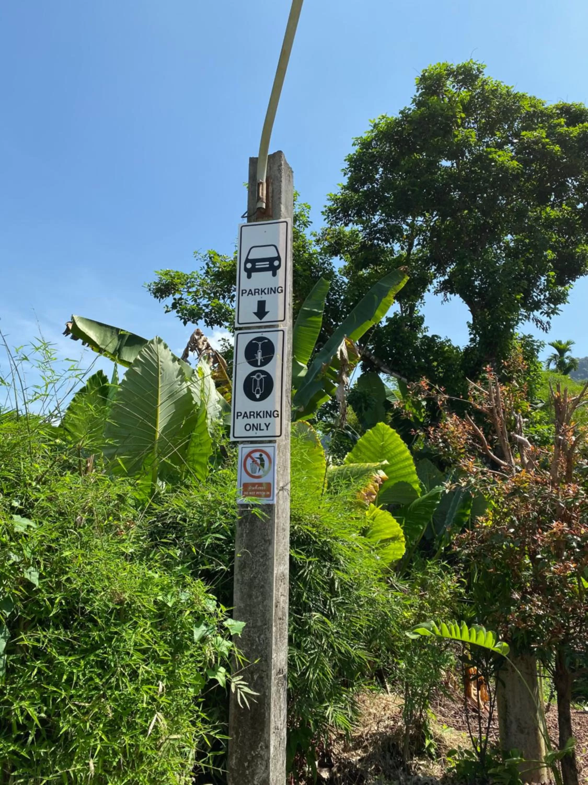 Logo/Certificate/Sign in Khao Sok Jungle Huts Resort