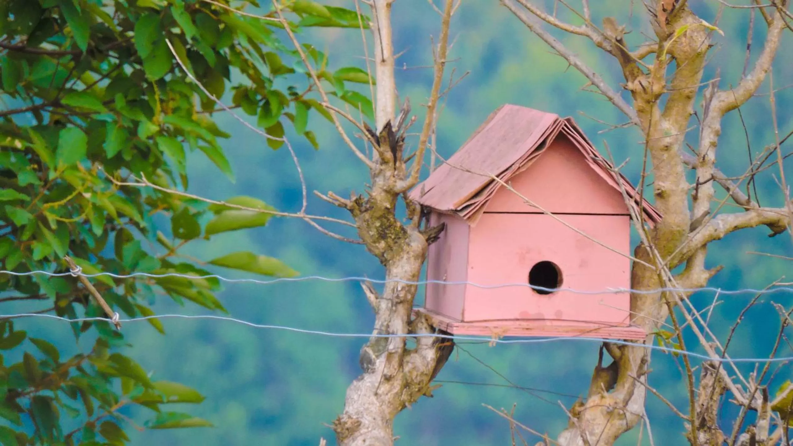 Property building in LaHermitage Resort