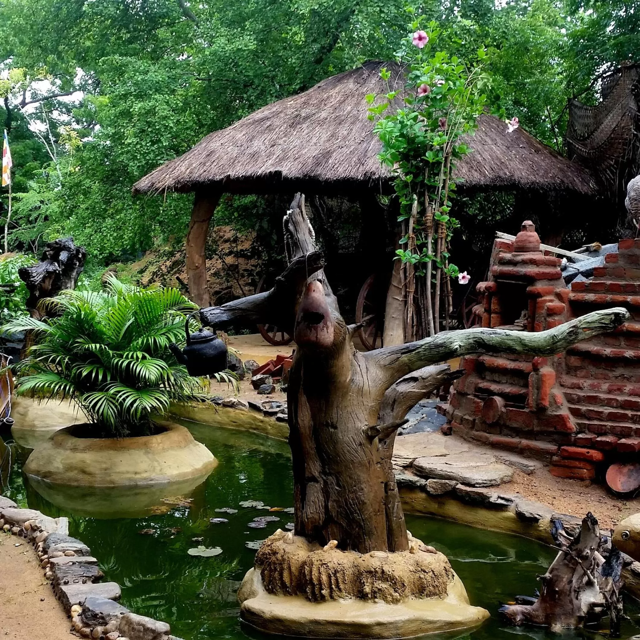 Other Animals in Jungle river humbhaha hostel