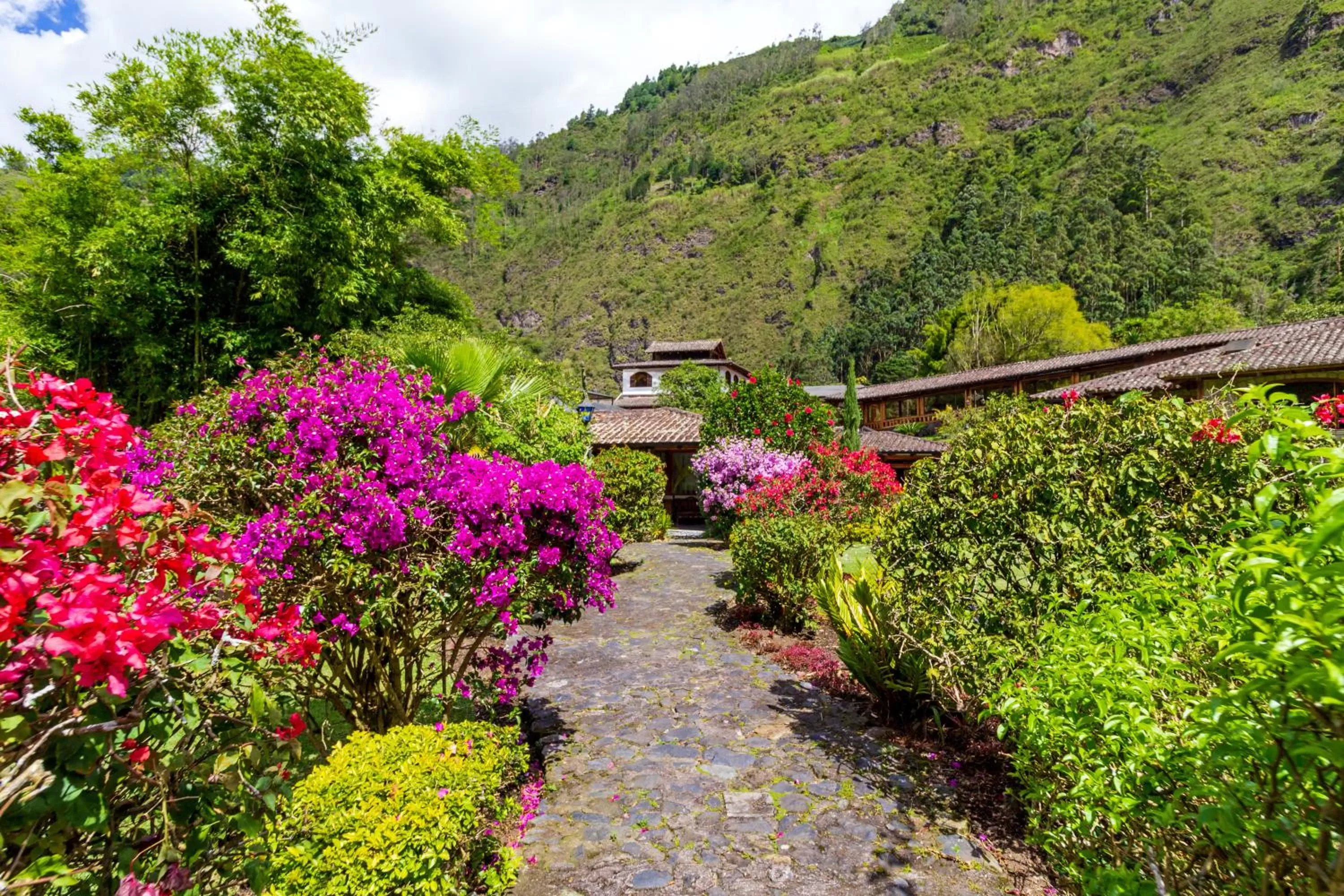 Garden in Samari Spa Resort