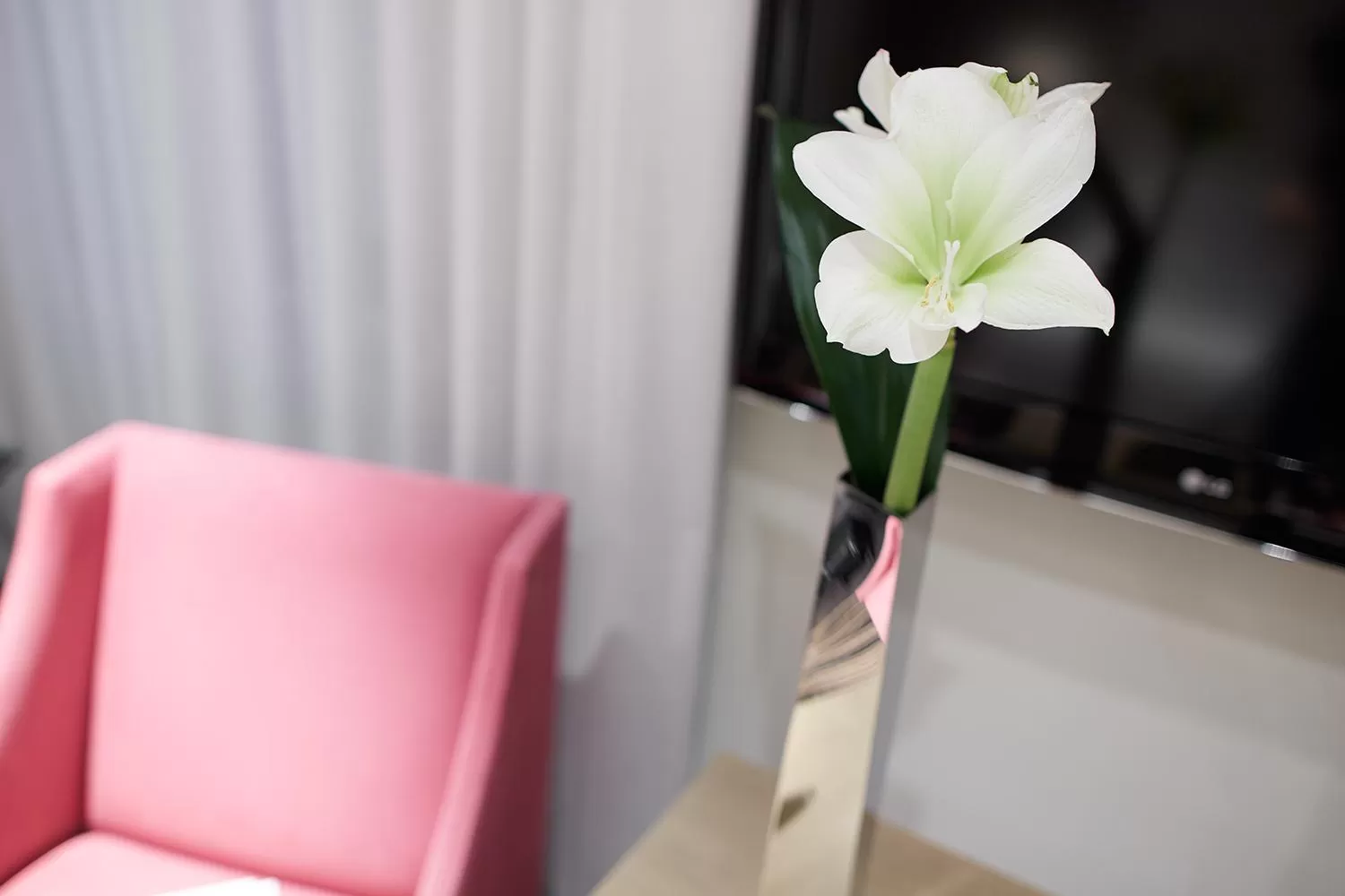 Living room in Maison Pic