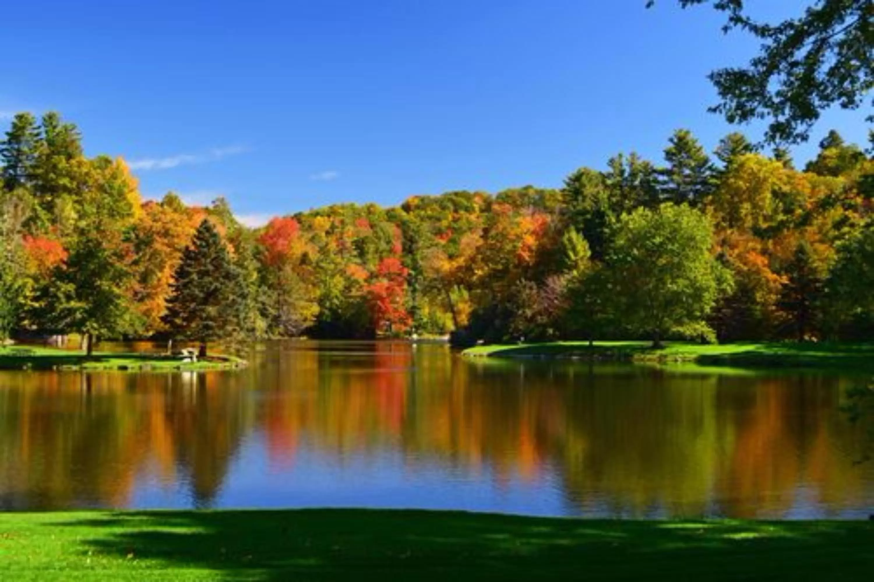 Natural landscape in Chetola Resort Condominiums