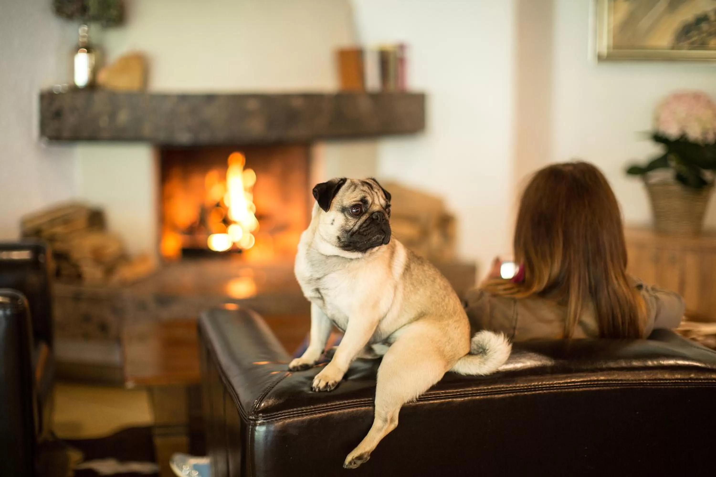 Pets in Hotel Garni Römerhof
