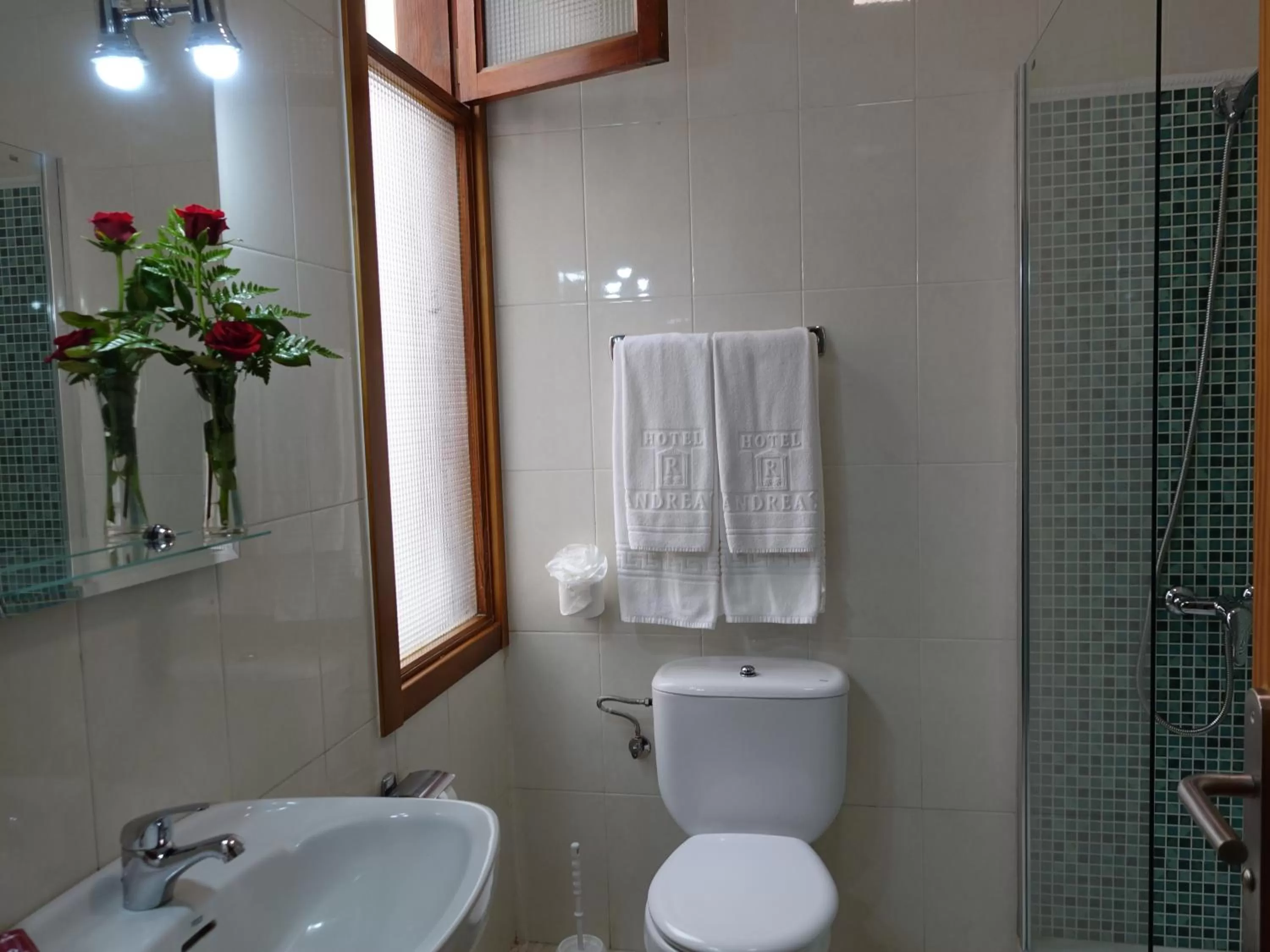 Bathroom in Hotel Andrea´s