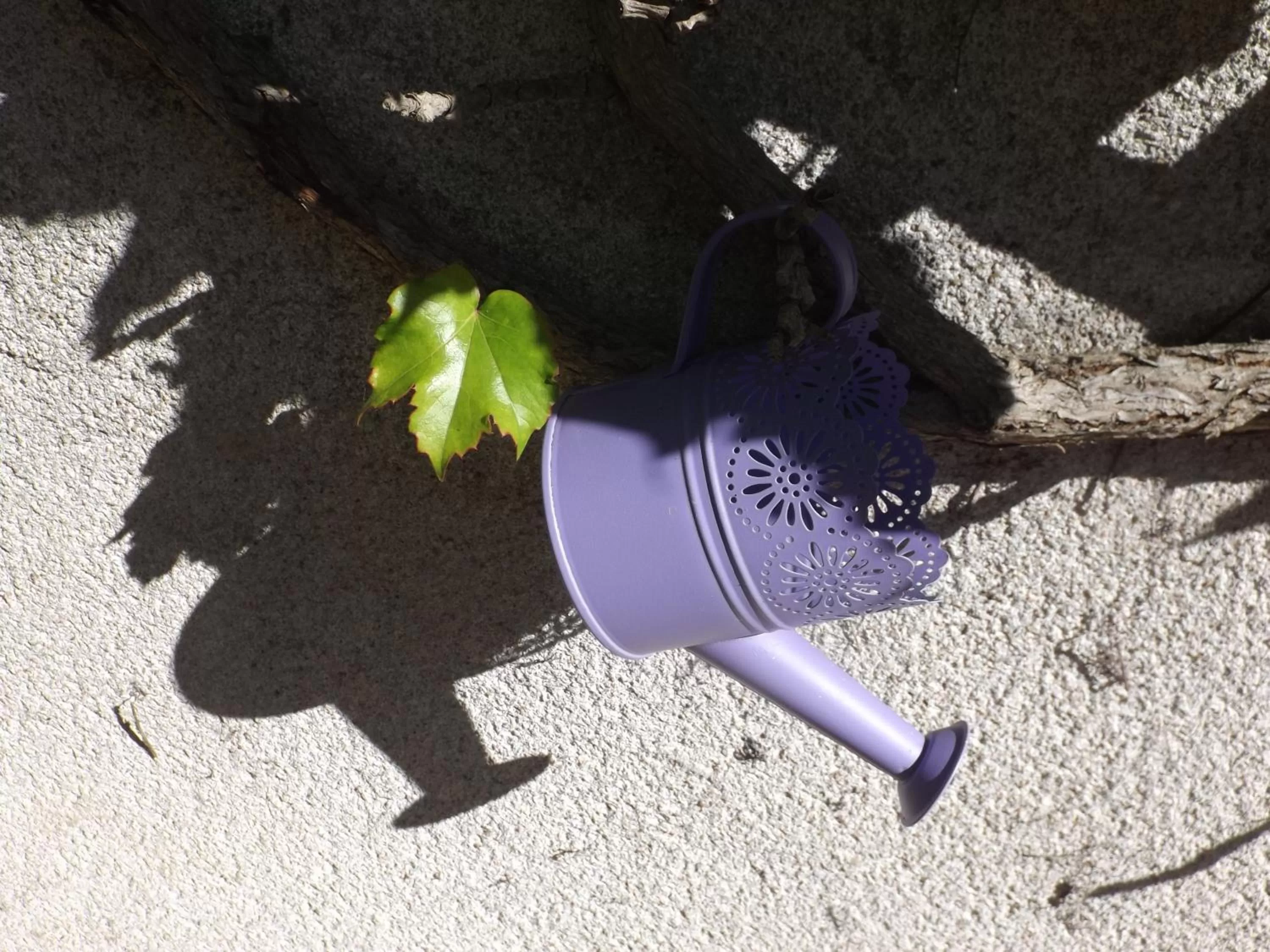 Les Eléphants bleus