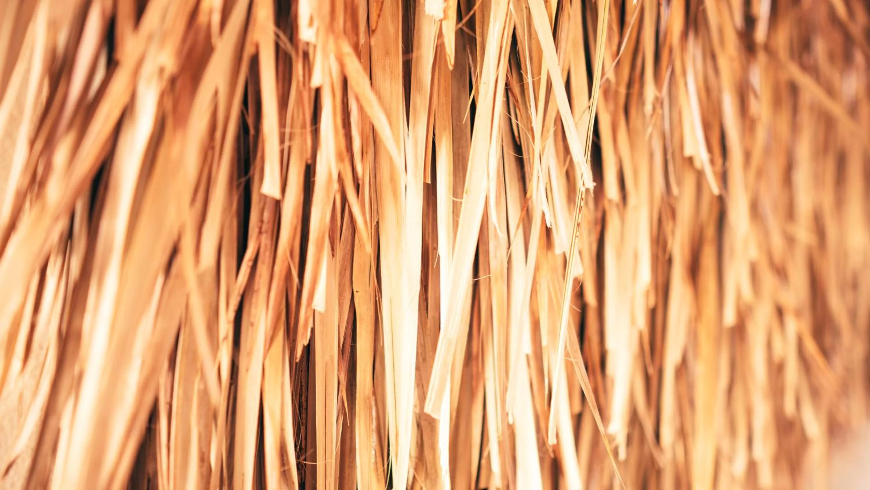 Property building in Casa Kuaa