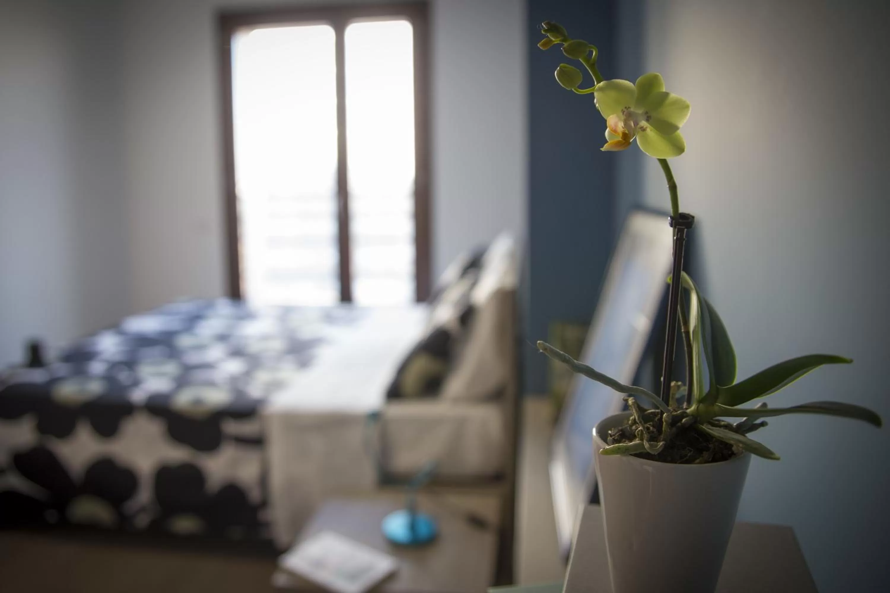 Decorative detail, Bed in Residence Milano Bicocca