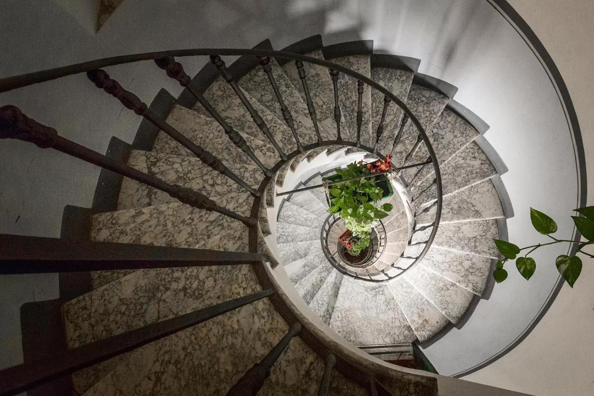 Other in Casa De' Fiori