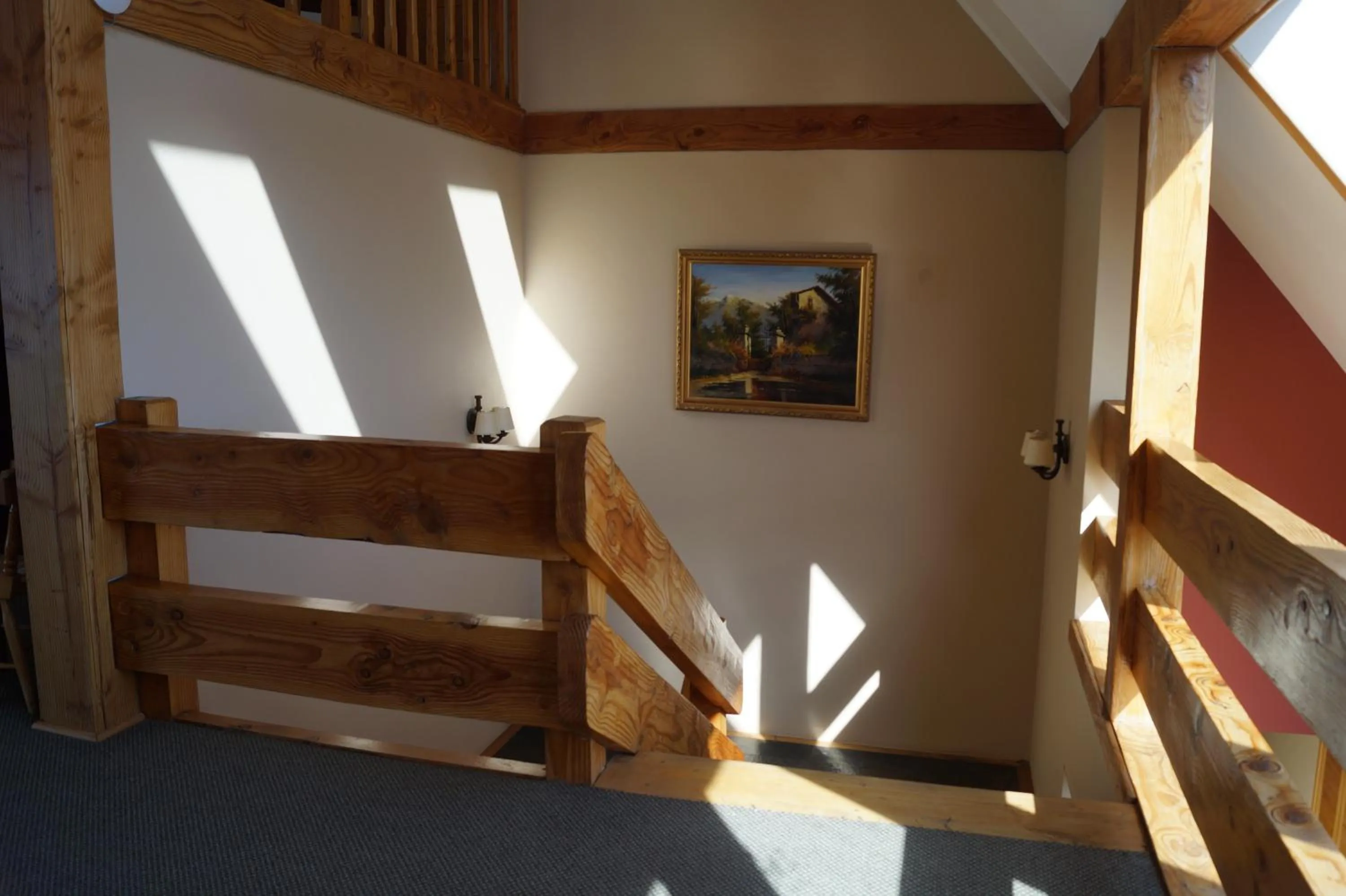 Area and facilities in Hotel Puelche