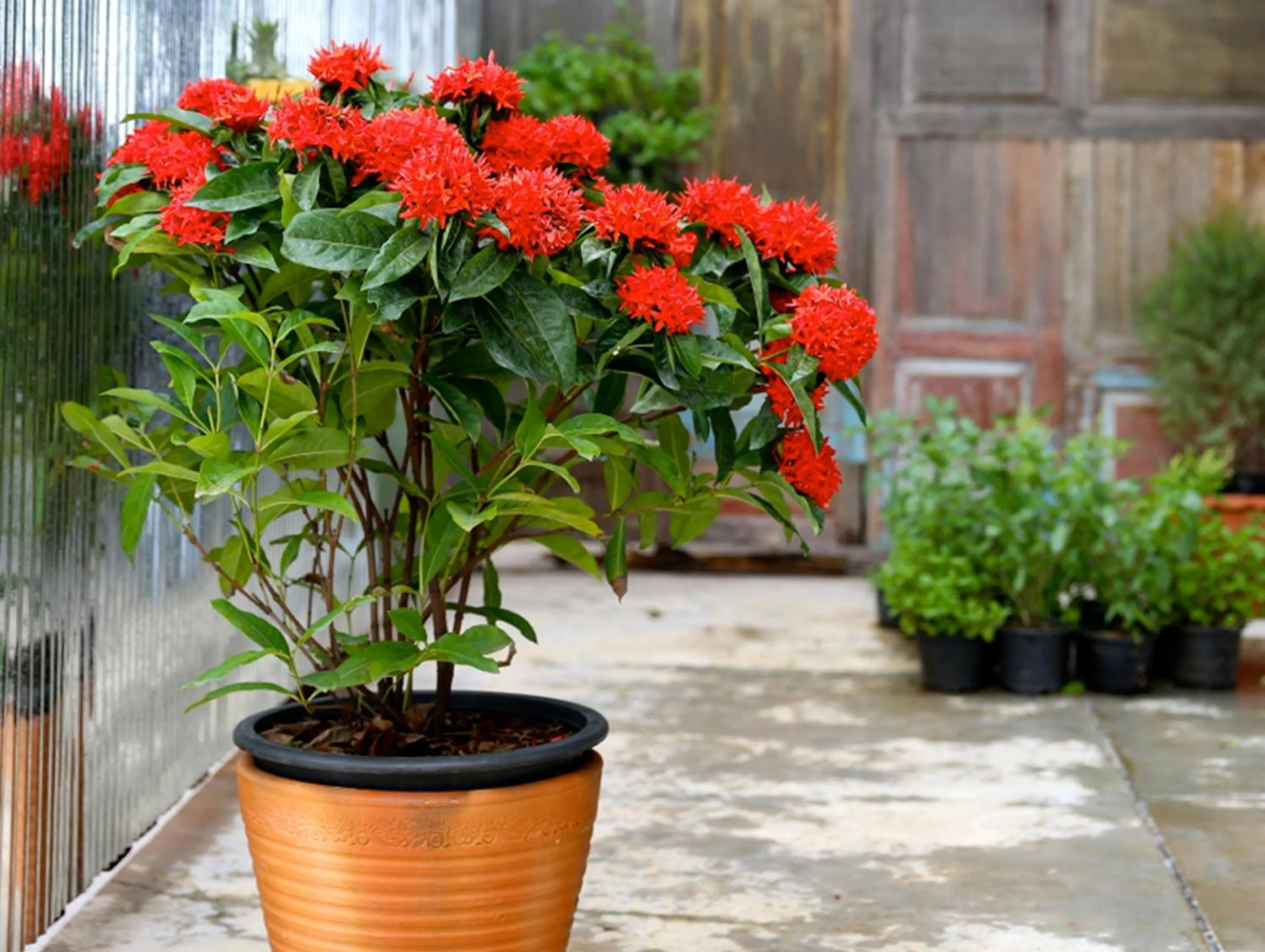 Area and facilities in The Plug Hotel