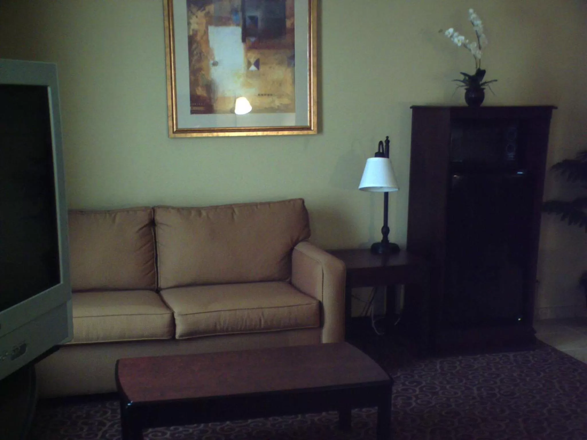 Living room in Hampton Inn Vidalia