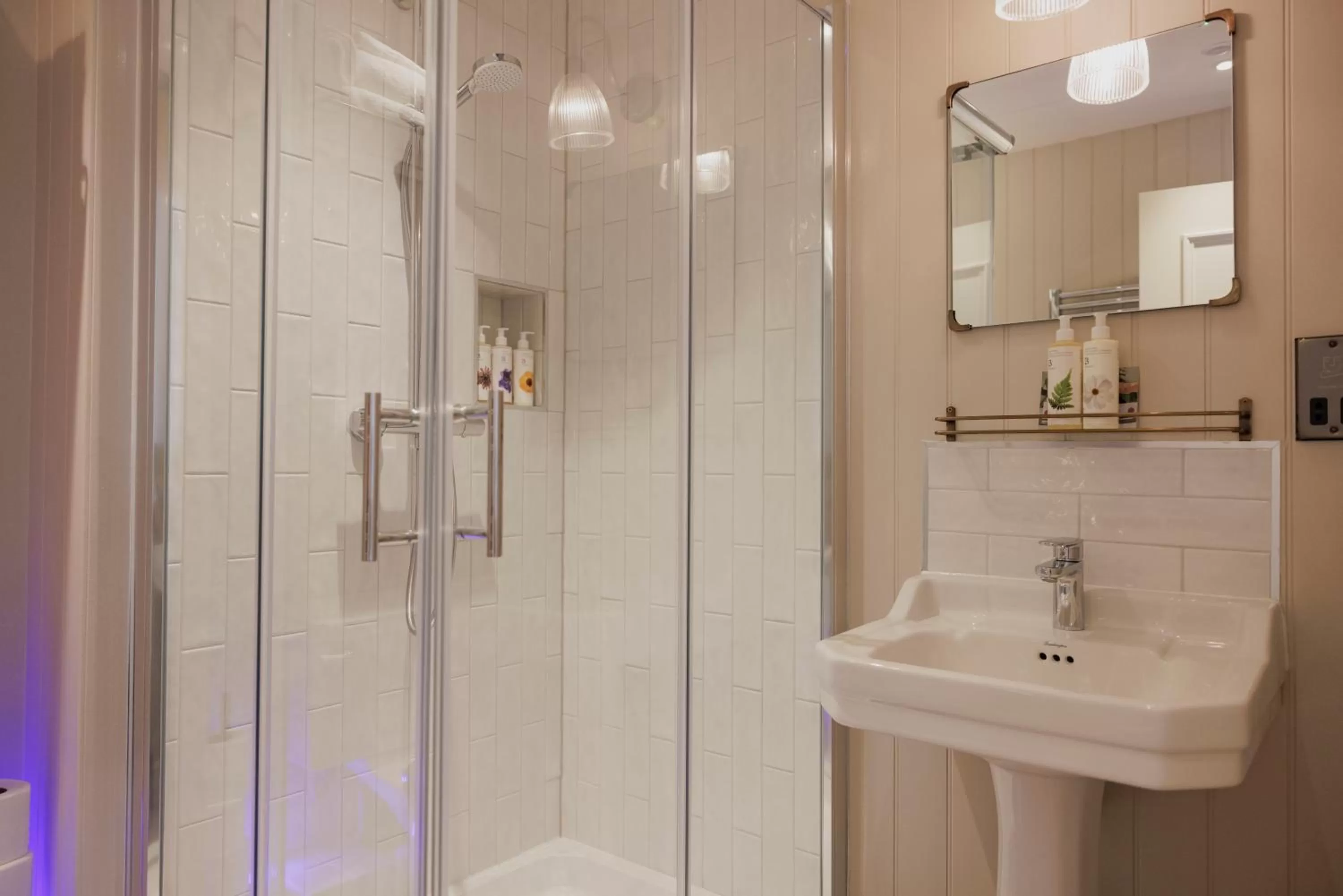 Bathroom in The George & Dragon