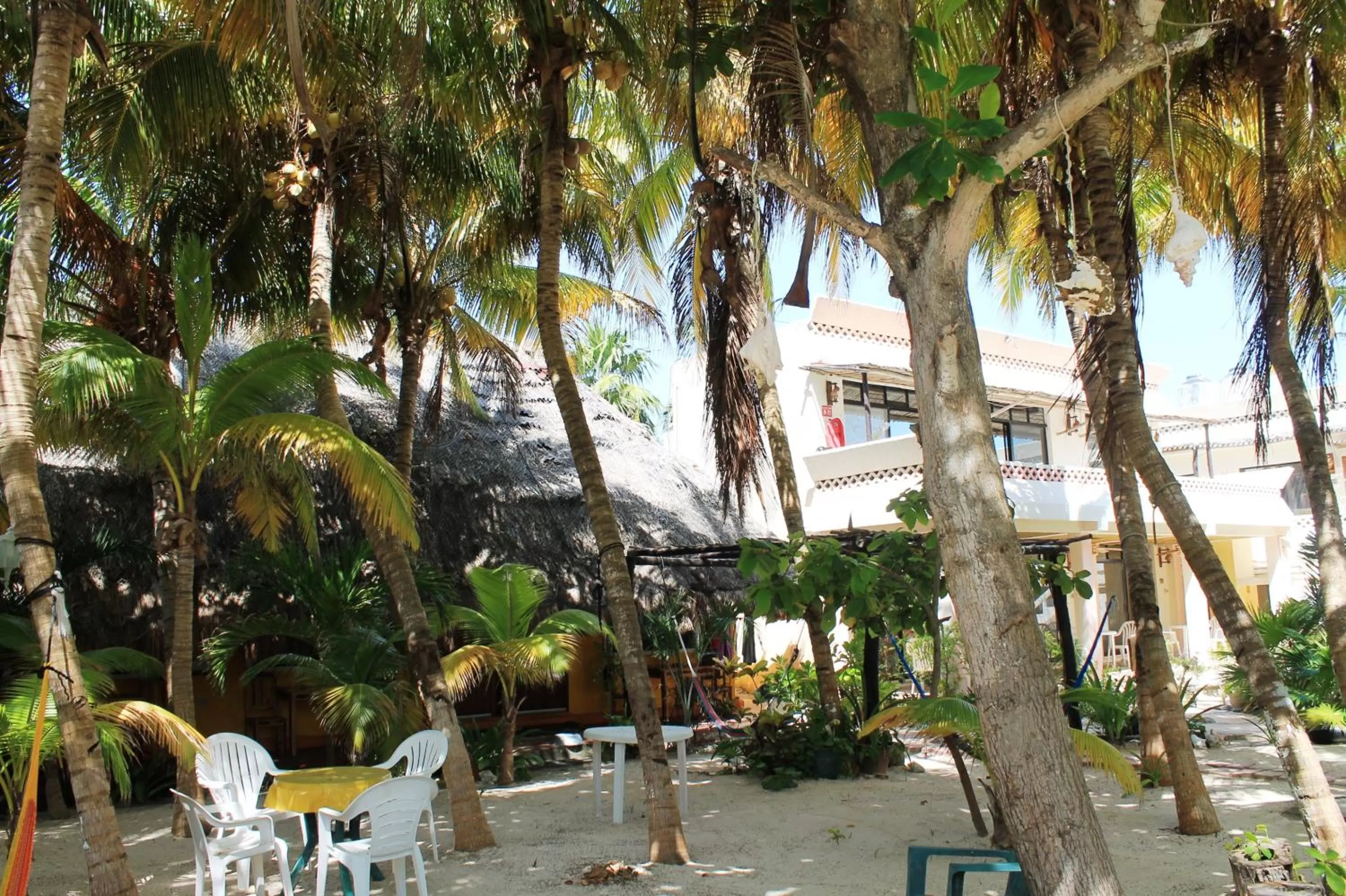 Garden in Hotel Villa Kiin