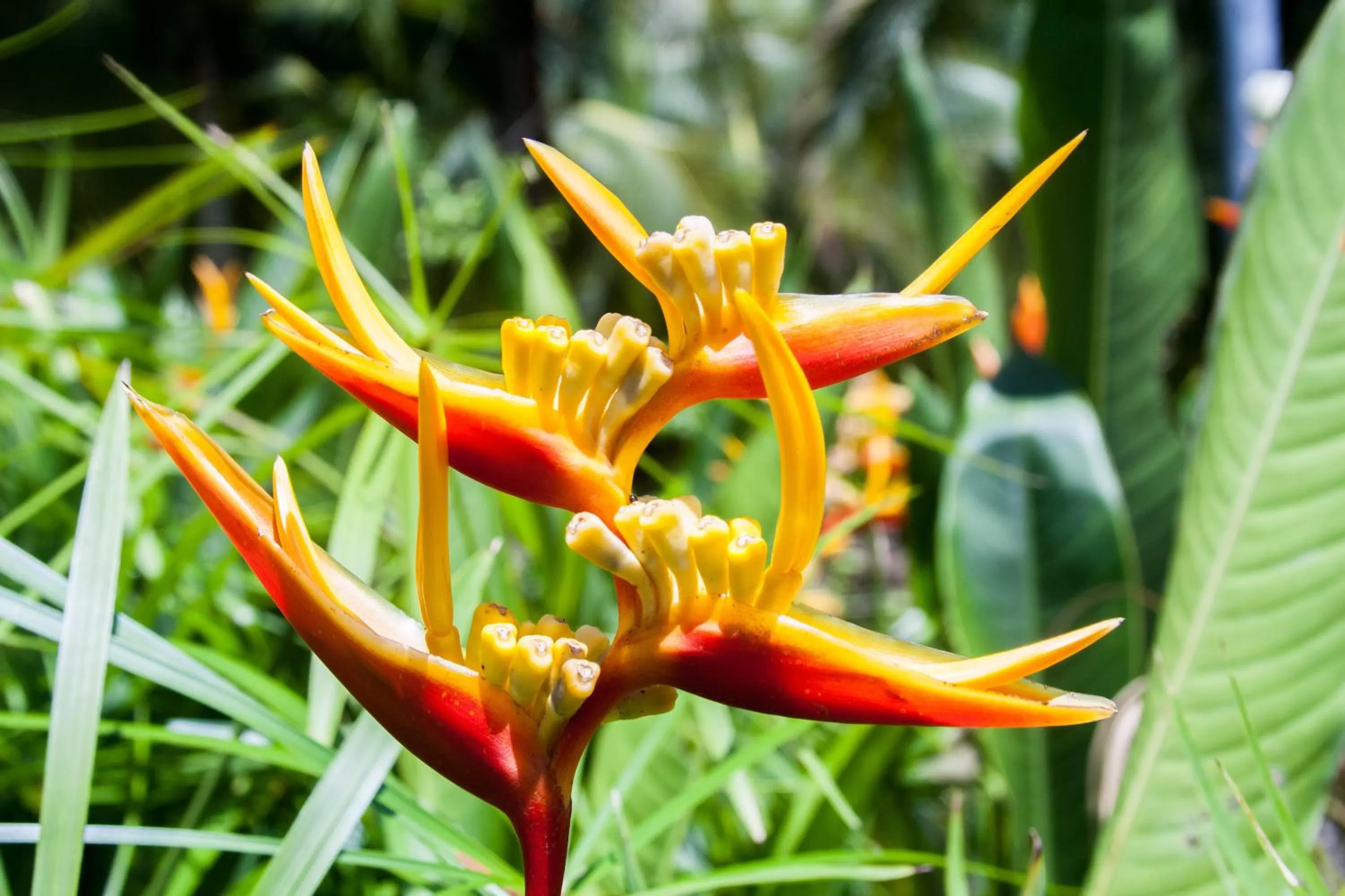 Doña Mara Gastro Hotel