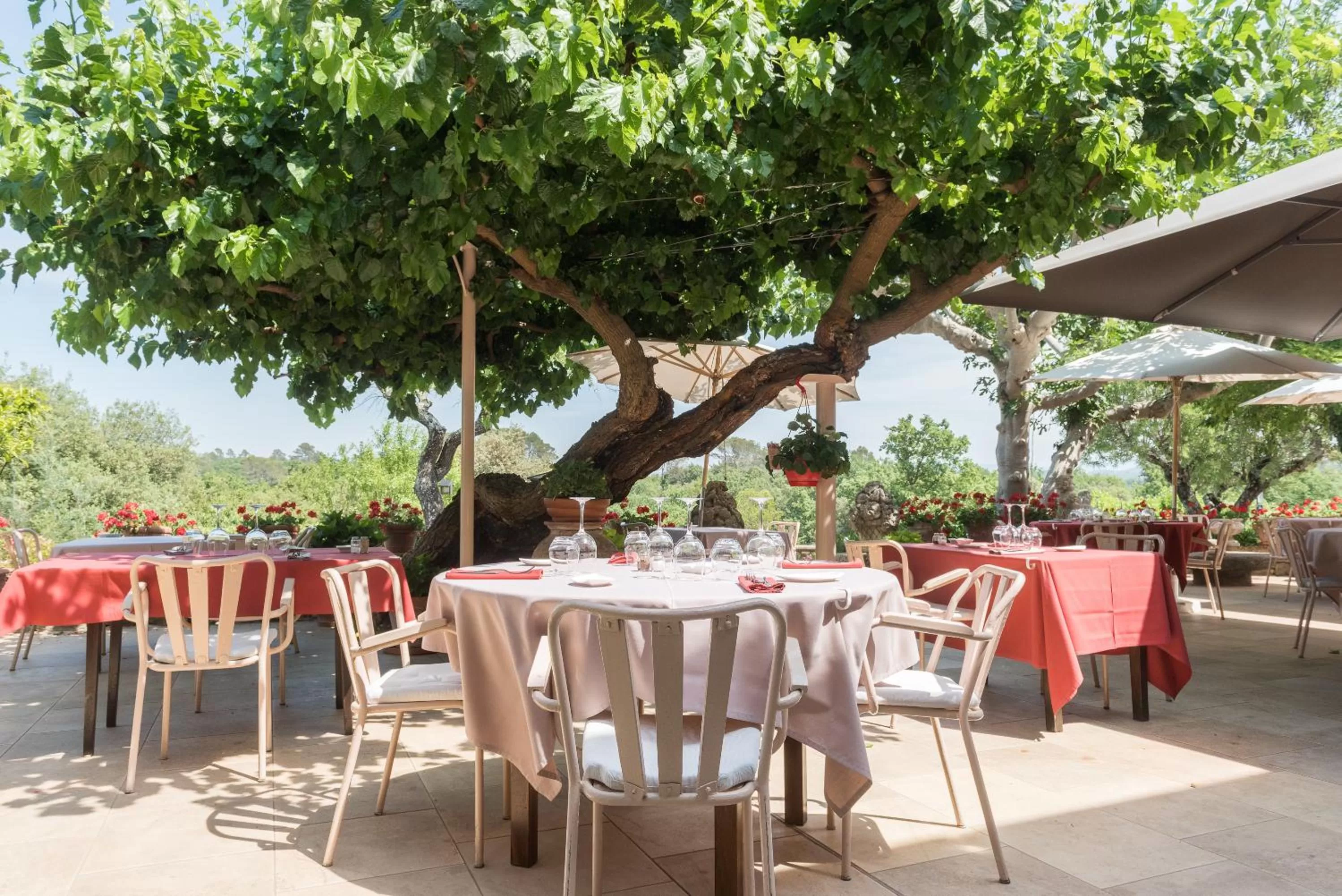 Restaurant/places to eat in Domaine du Lac - Teritoria