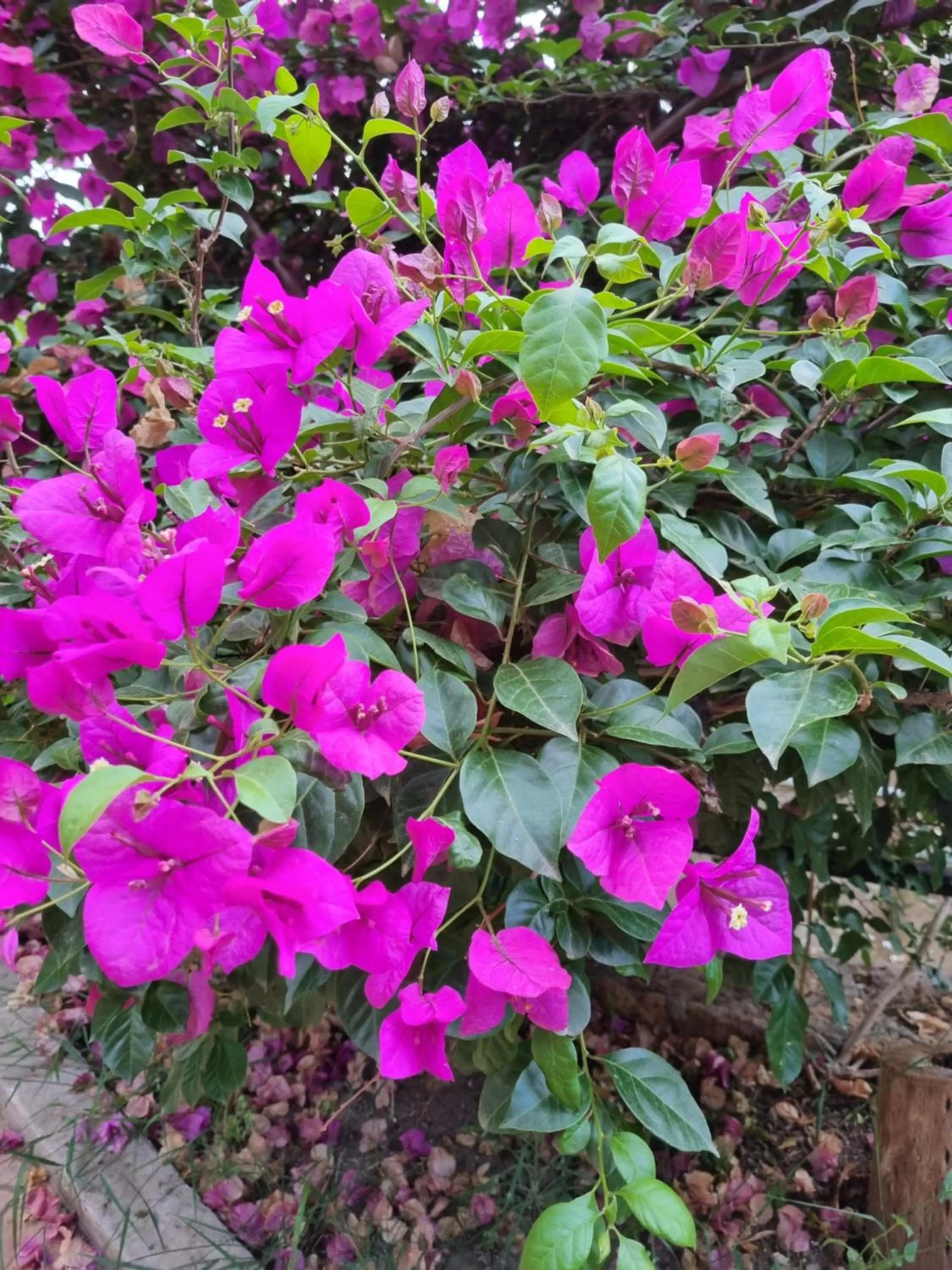 Villa Sul Molo tra Siracusa e Catania