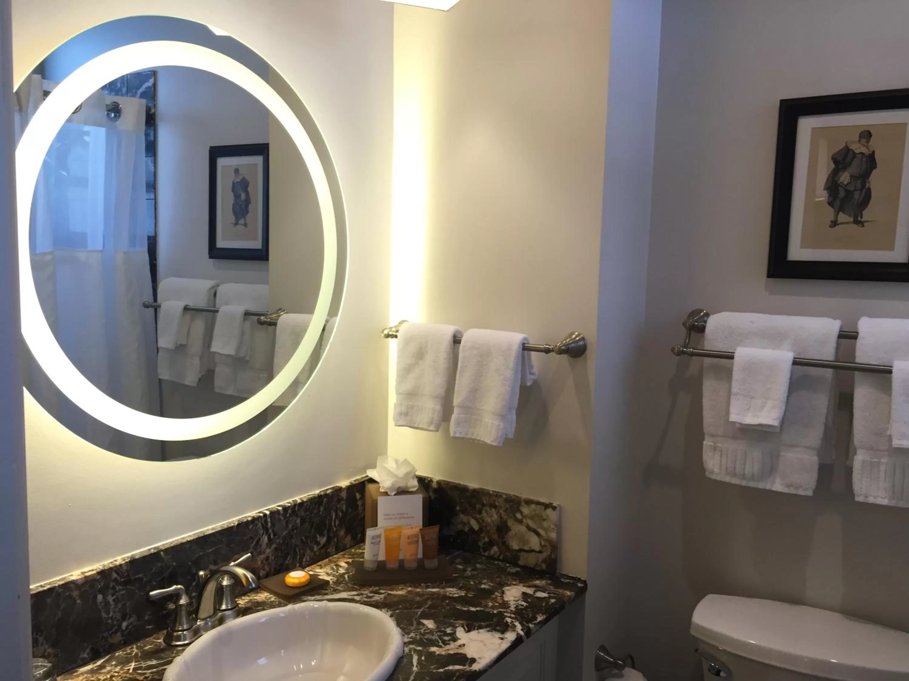 Toilet in Warwick San Francisco