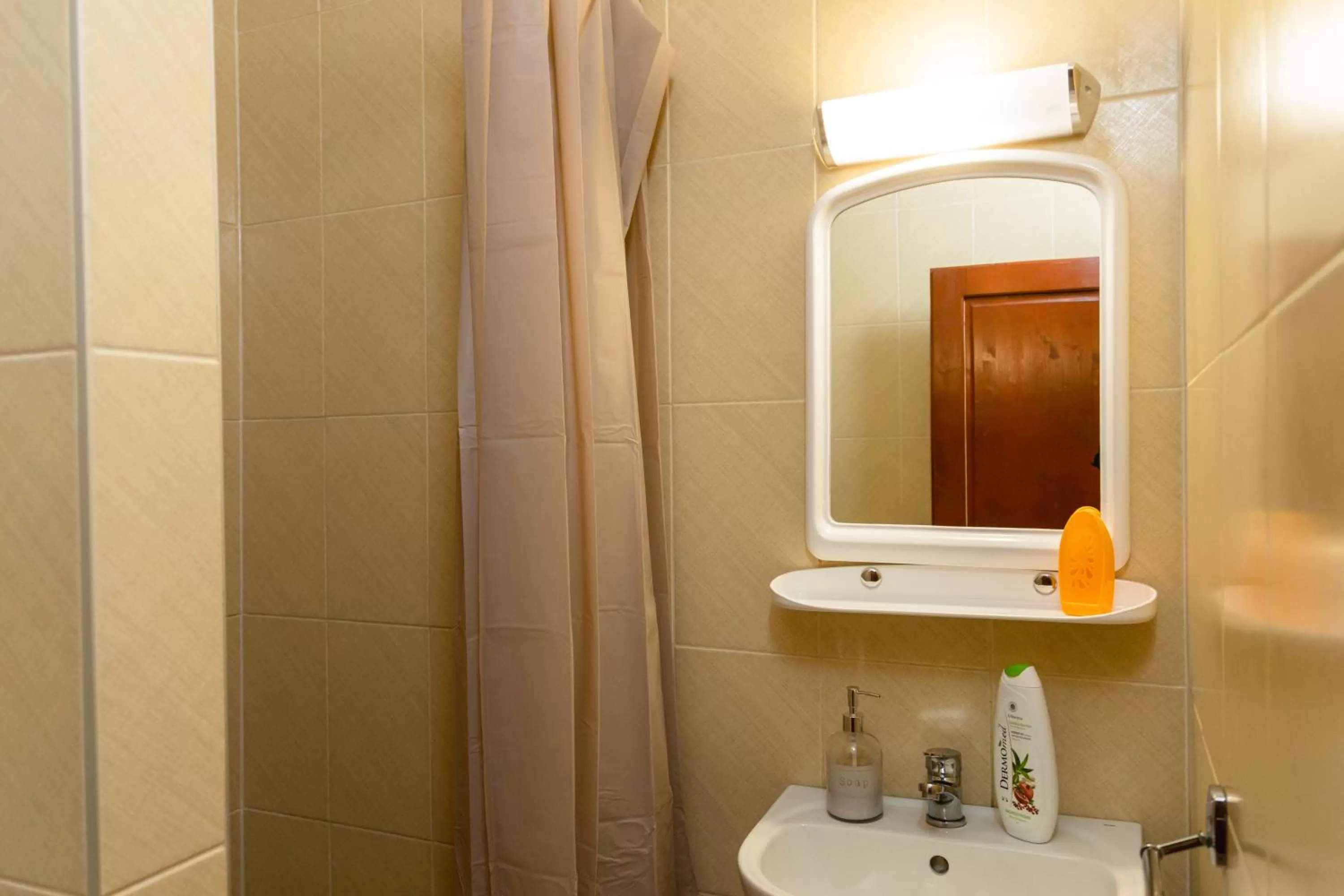 Bathroom in Pensiunea Pictorilor