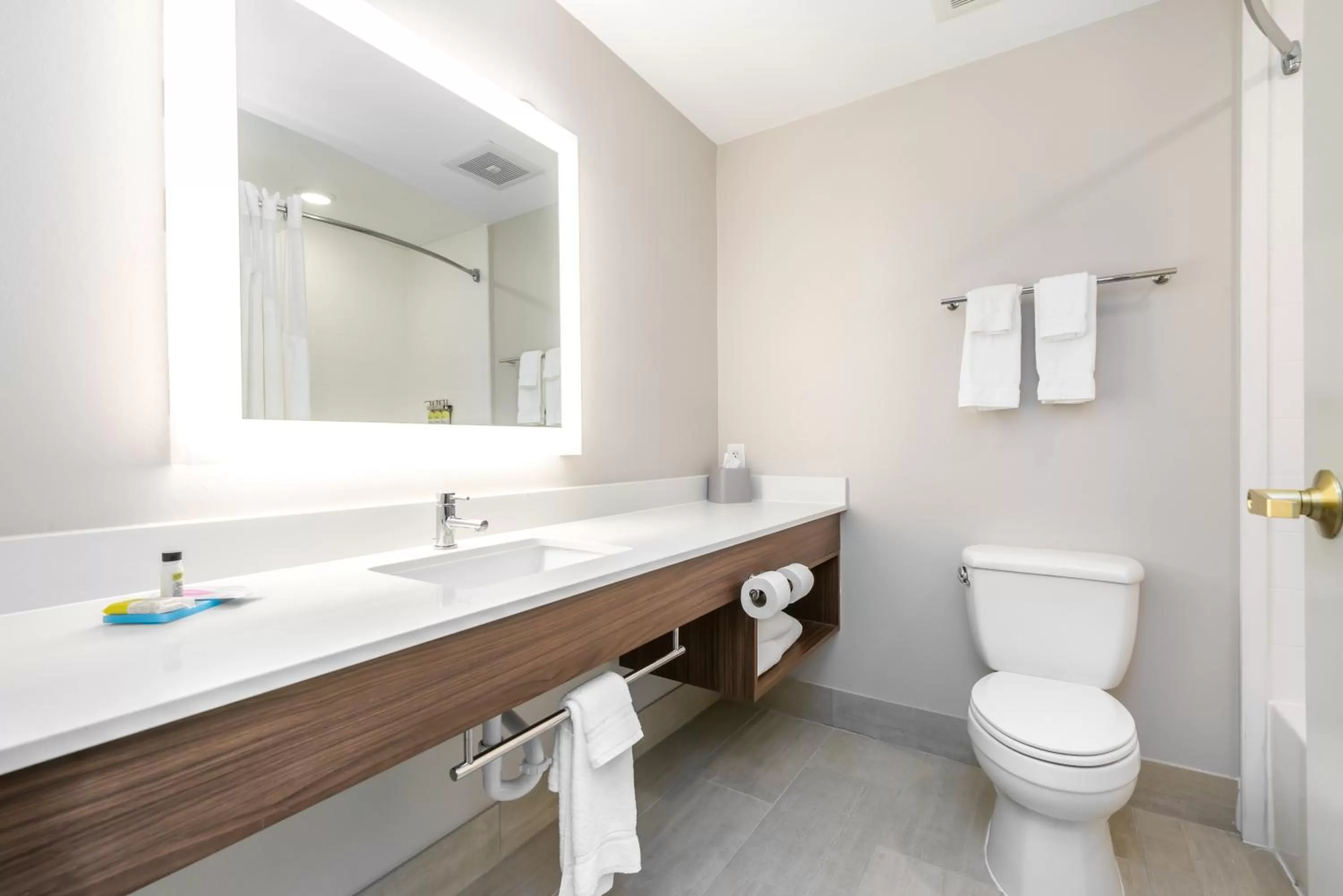 Bathroom in Holiday Inn Express Hotel & Suites Lagrange I-85 by IHG