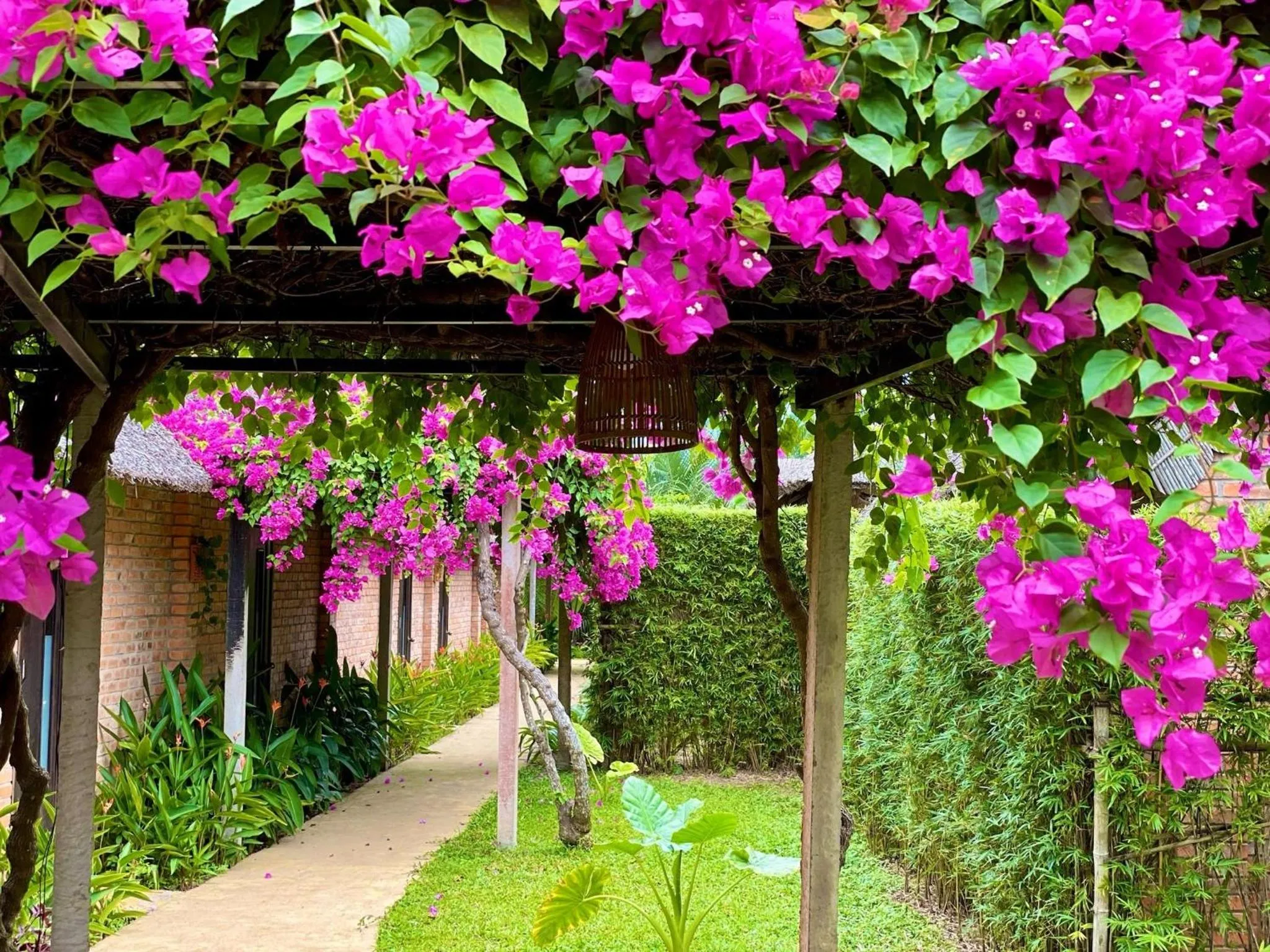 Spring in ENSO Retreat Hoi An - Rediscovery & Serenity