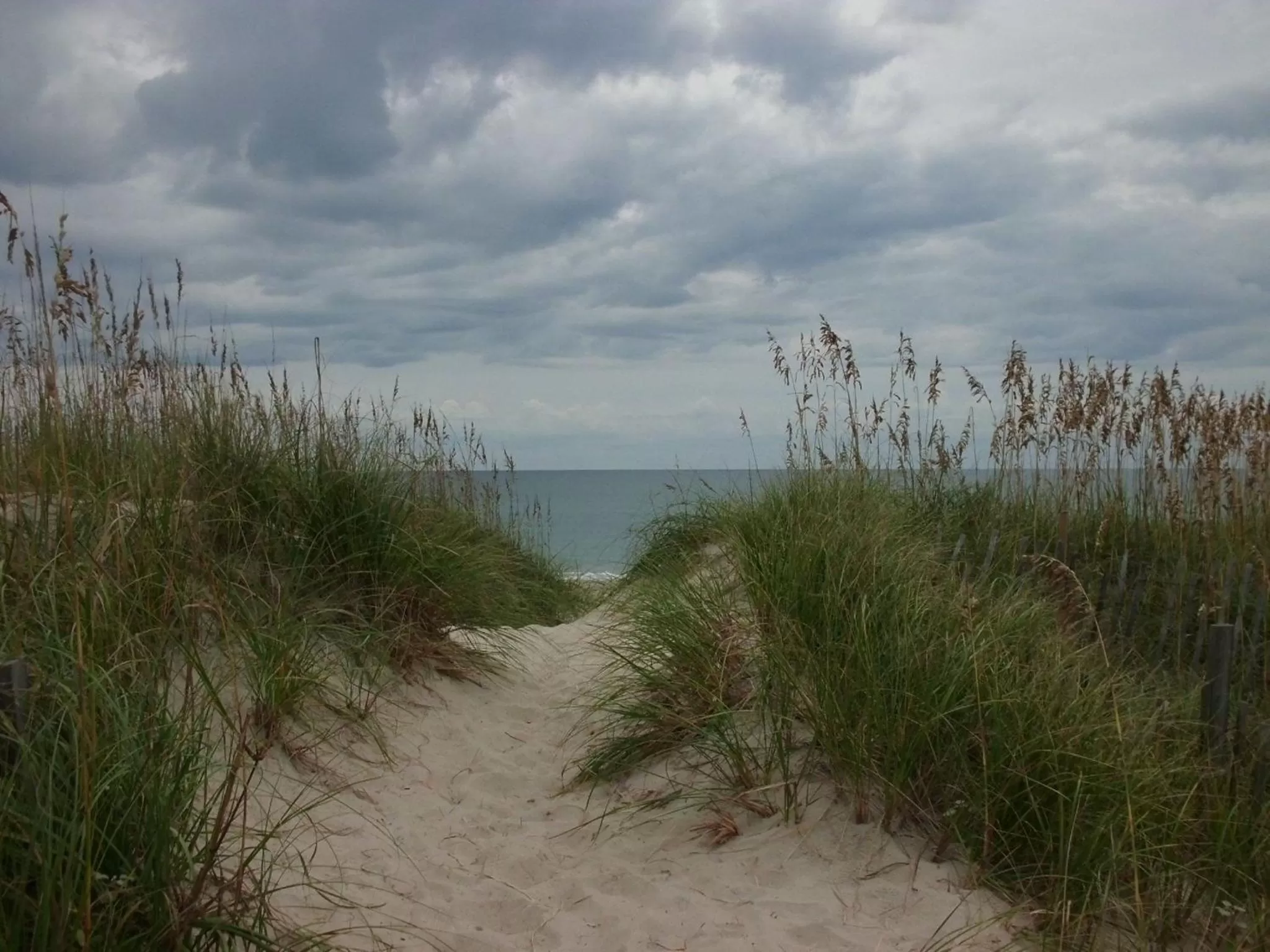 Beach in Swell Motel
