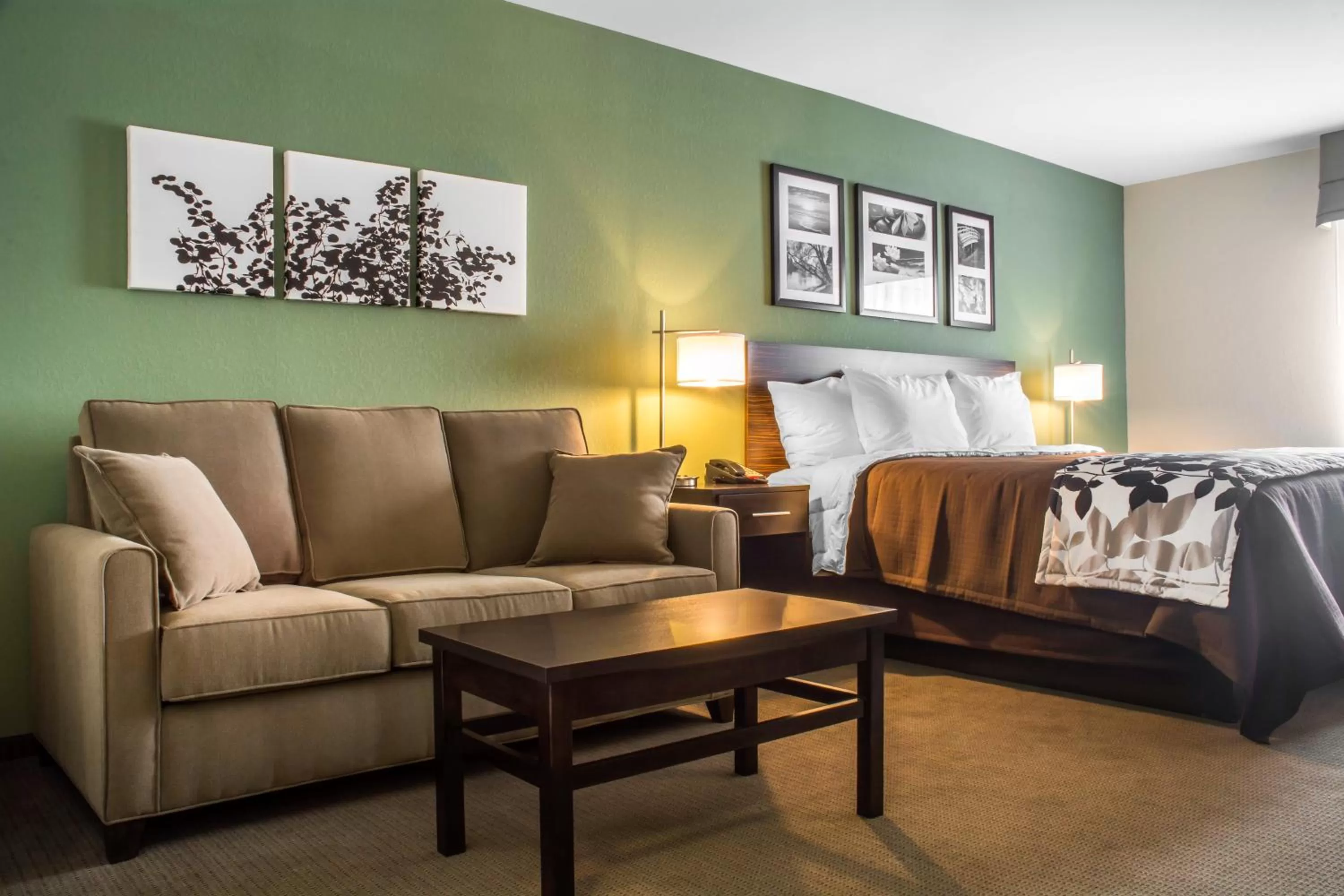 Living room, Bed in Sleep Inn & Suites Syracuse Airport