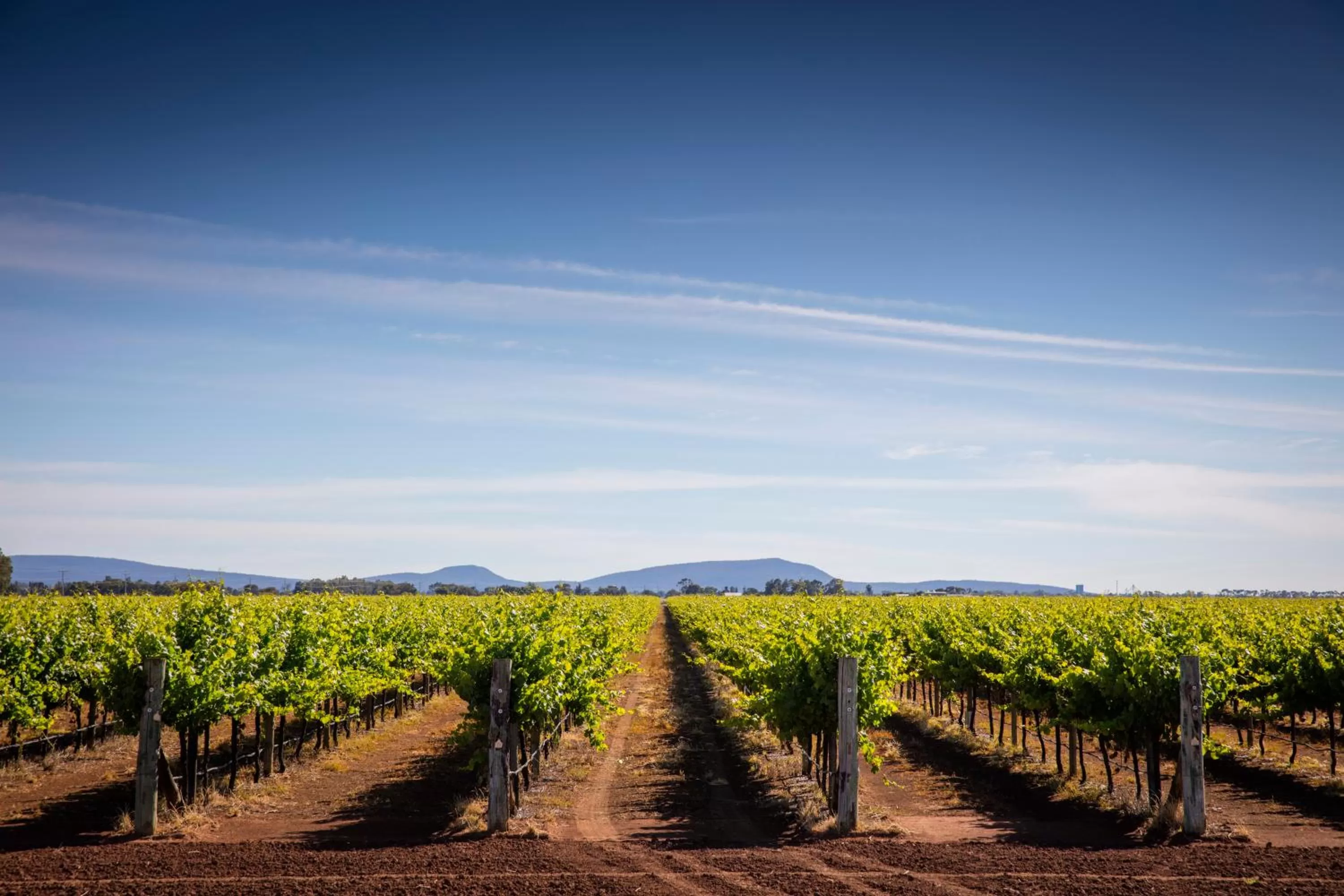 Other in Quest Griffith