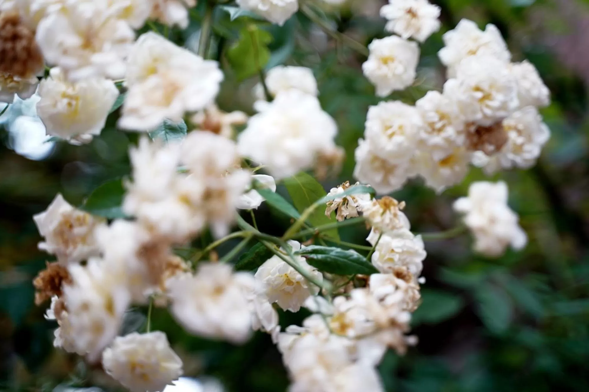 Property building in Hotel im Kupferkessel