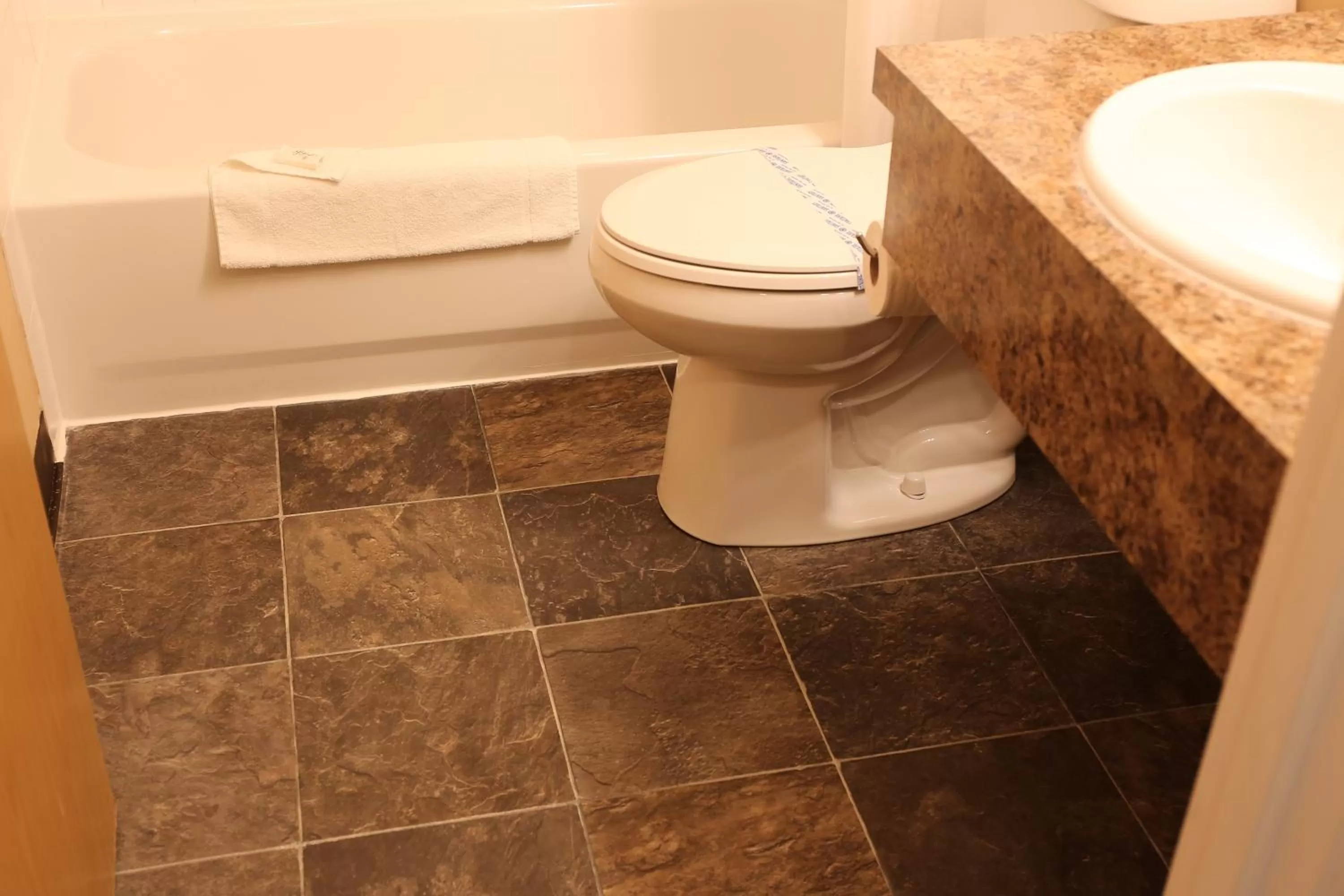 Toilet, Bathroom in Didsbury Country Inn