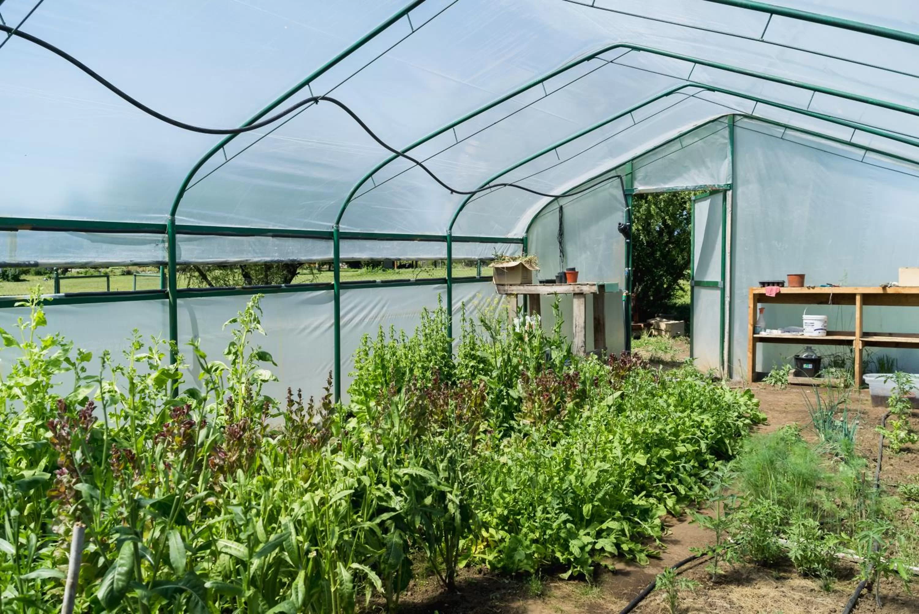 Garden in Challhuaquen Lodge