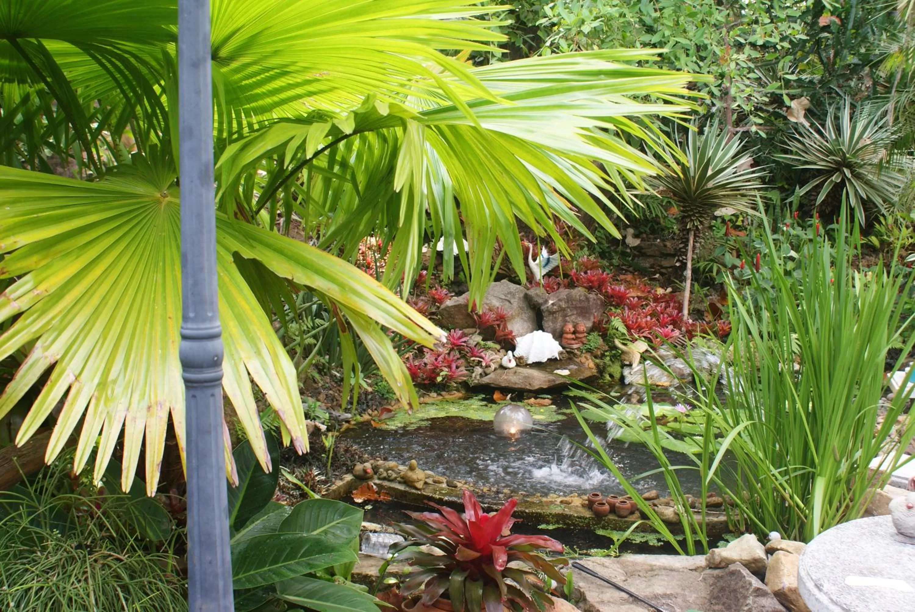 Garden in Rock Inn Bailan