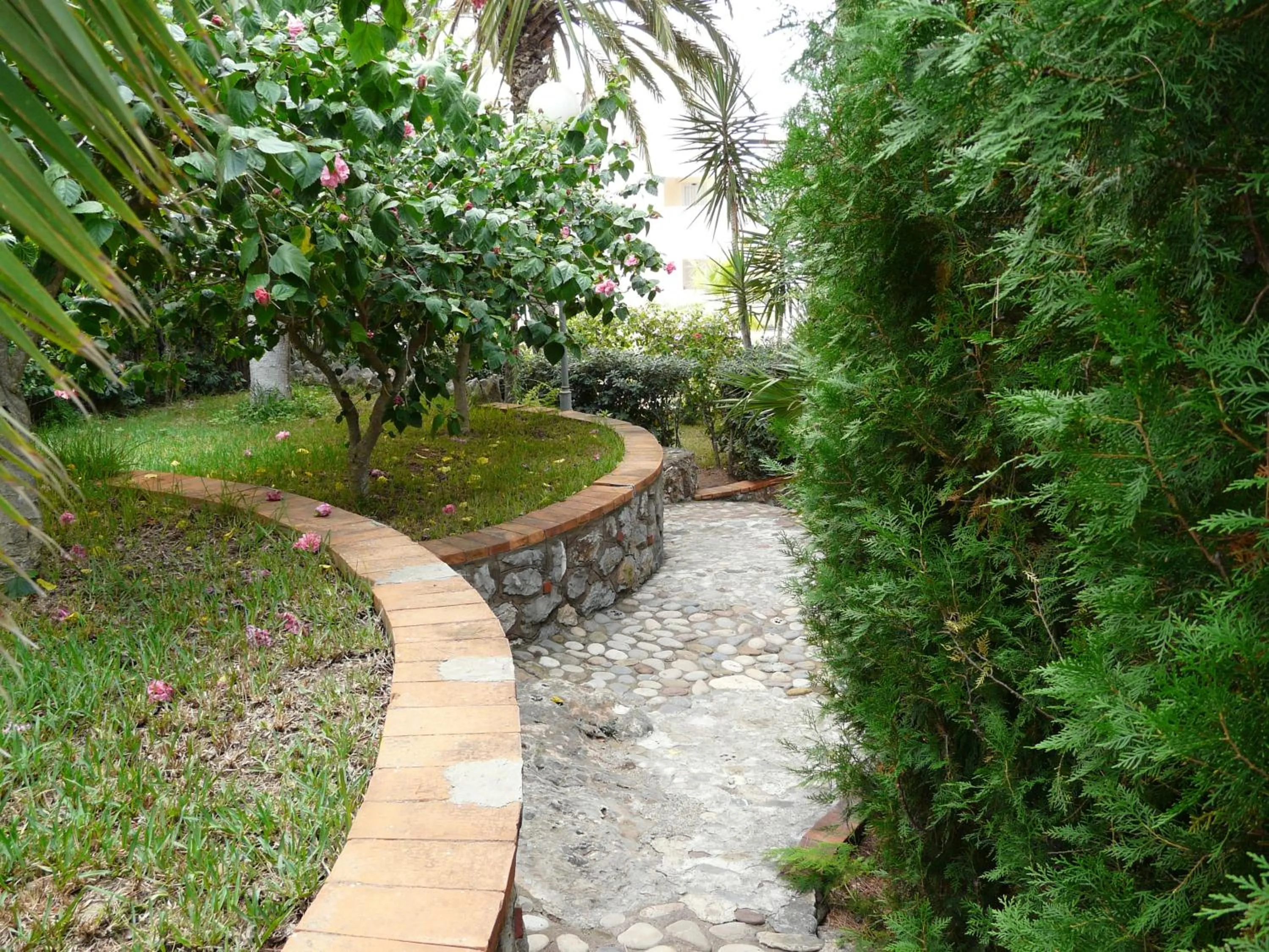 Garden in Hotel Jardín
