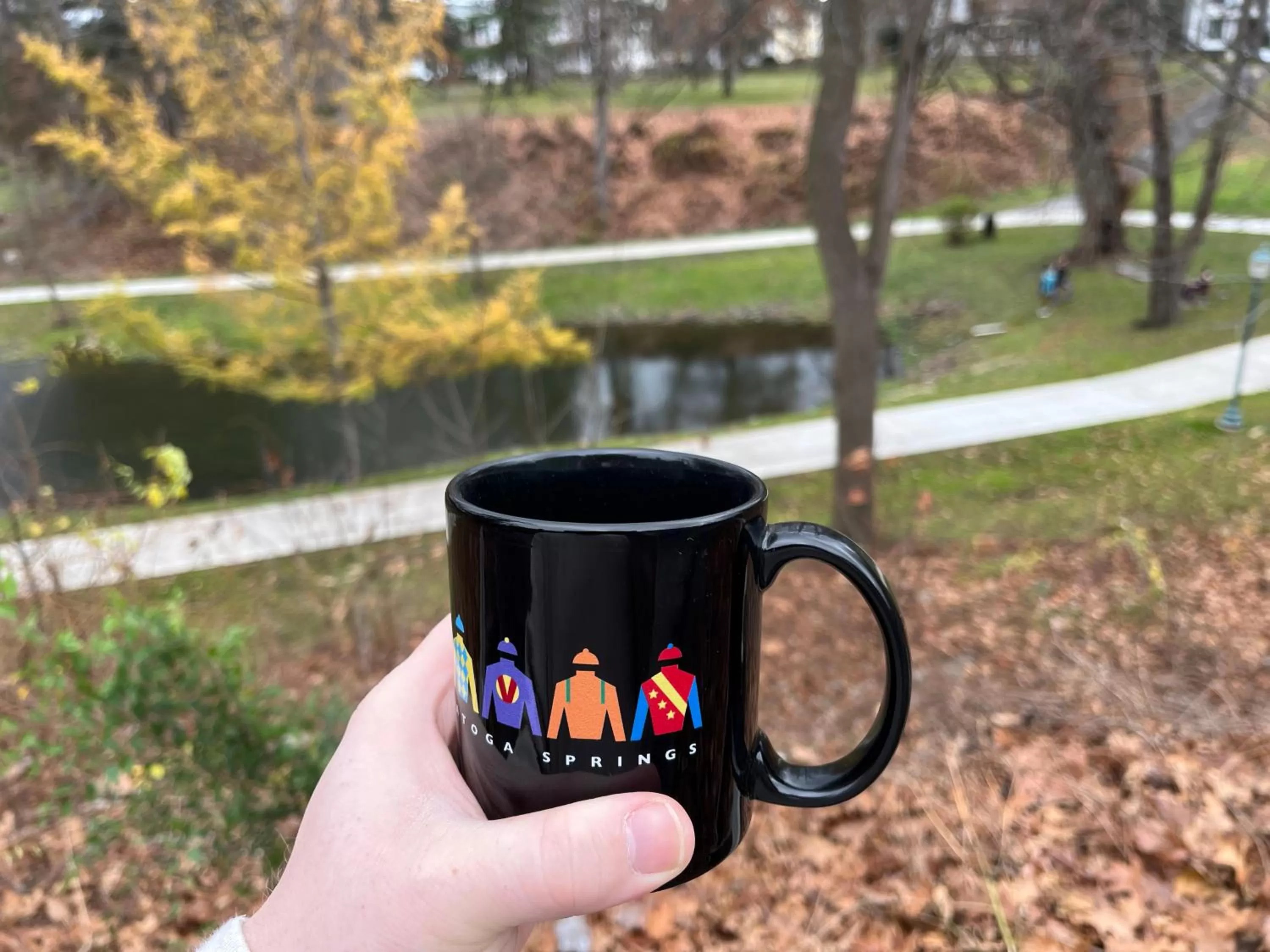 View (from property/room) in Community Court Motel