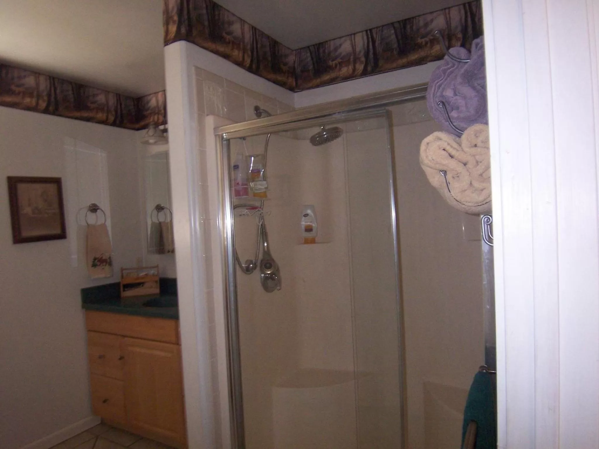 Bathroom in Elktrace Bed and Breakfast