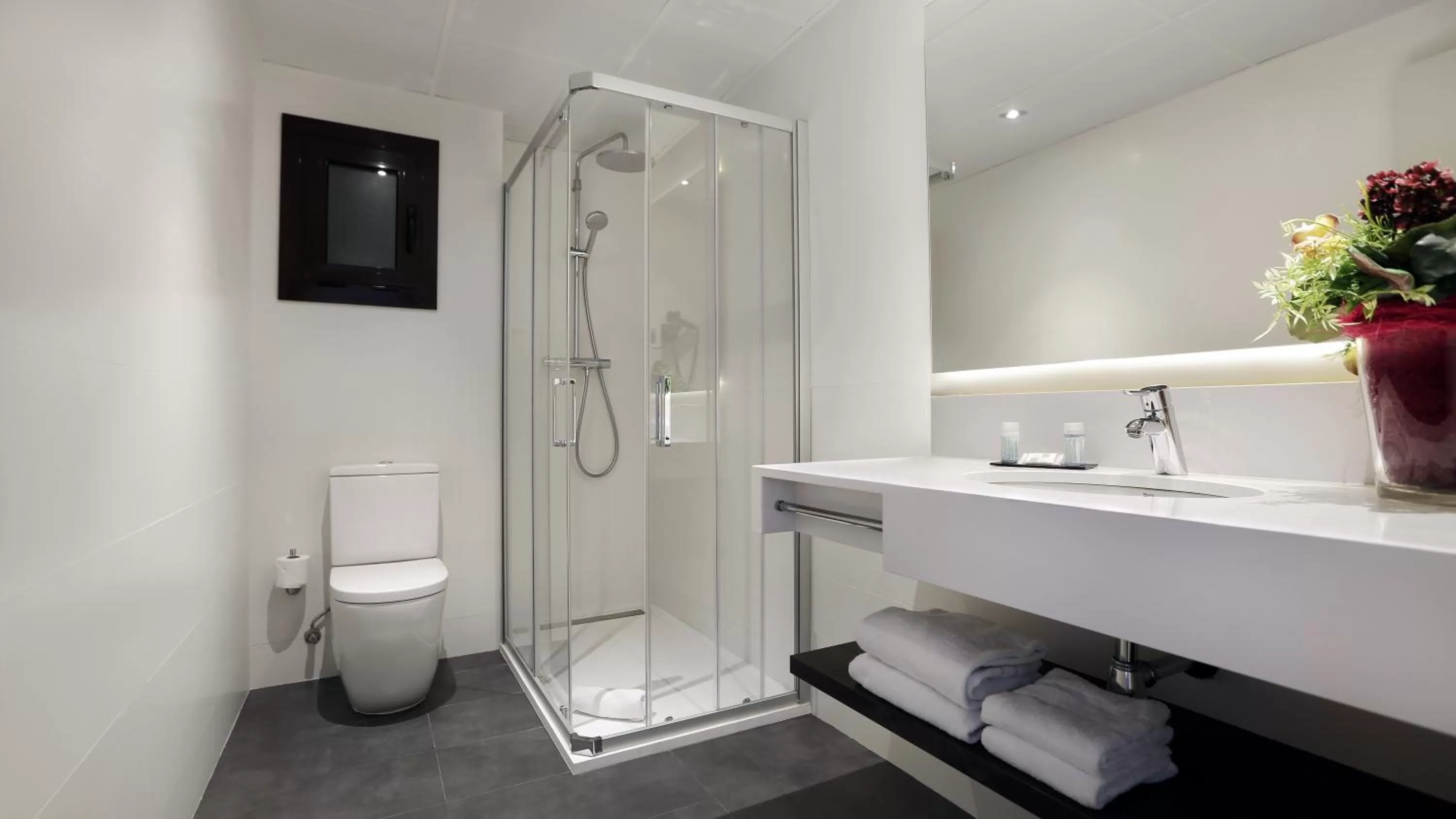 Double or Twin Room in Arc La Rambla