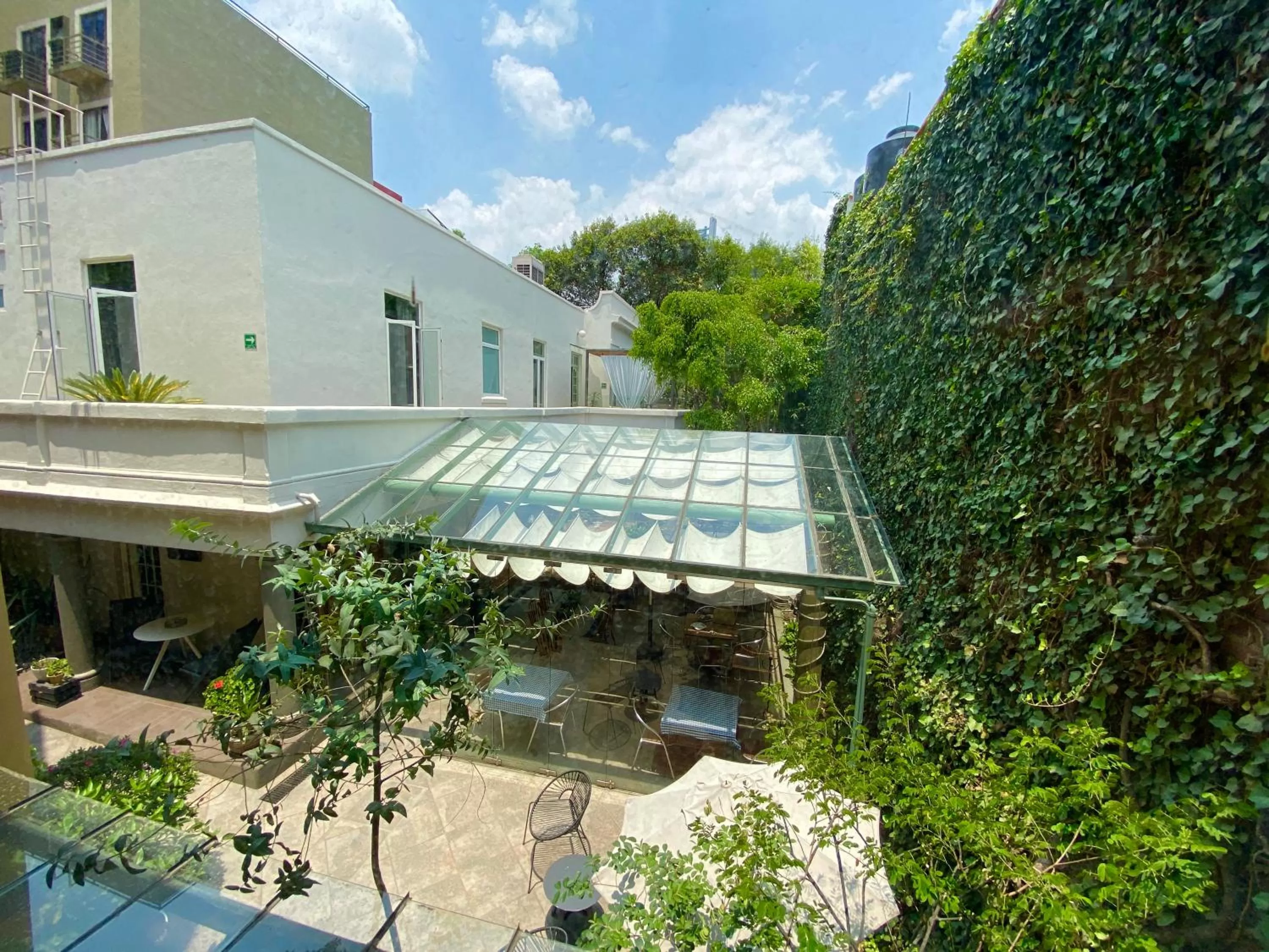 Garden view in Hotel Villa Condesa