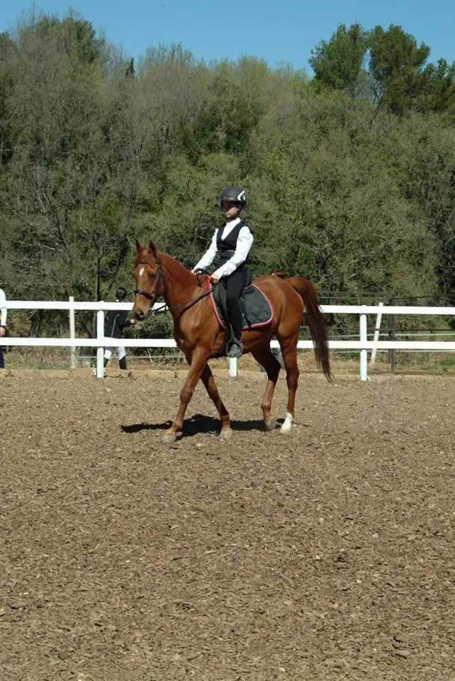 Horse-riding in Hotel Assisivm Antica Dimora AD